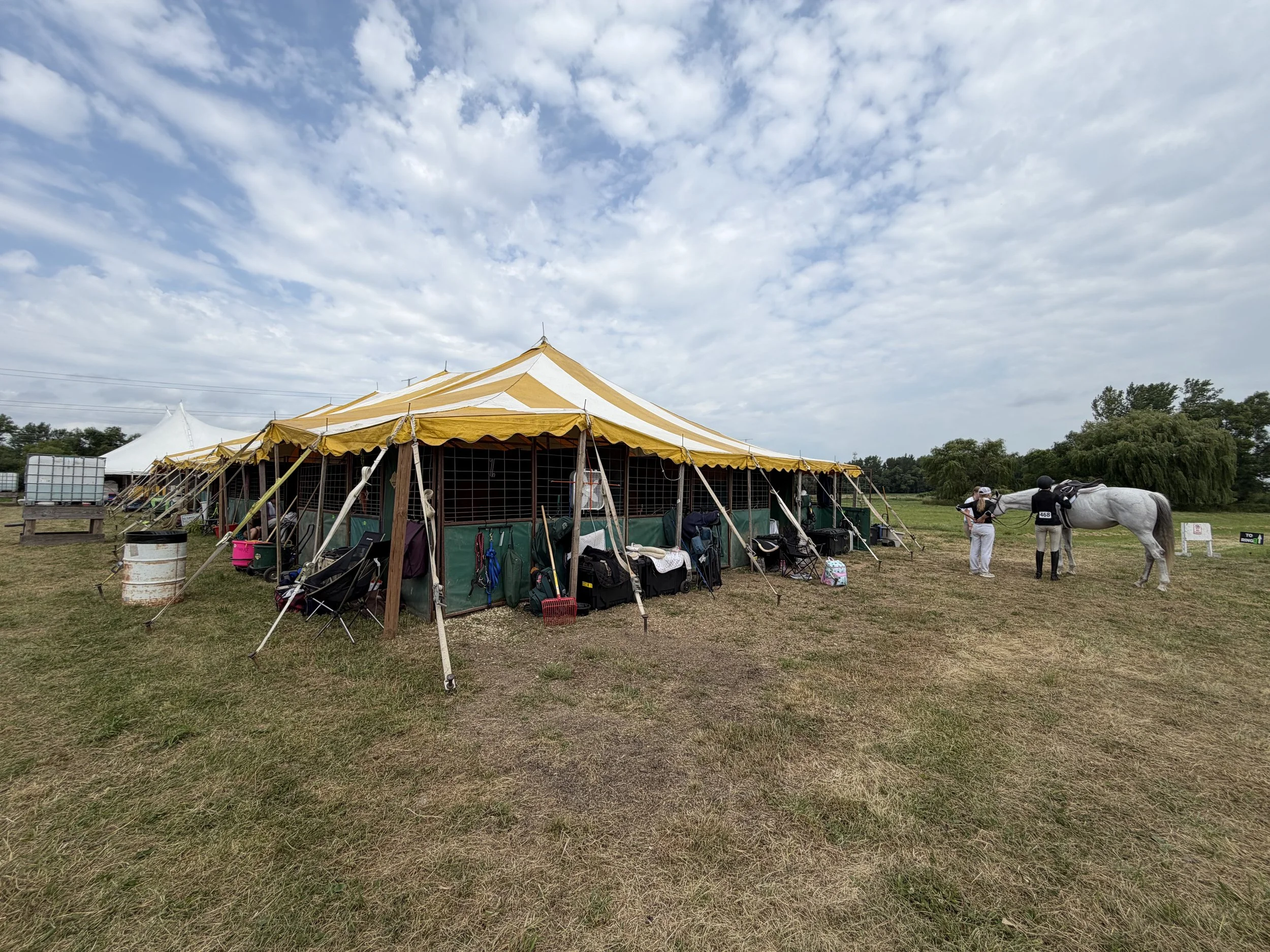 IMG_8250.jpg