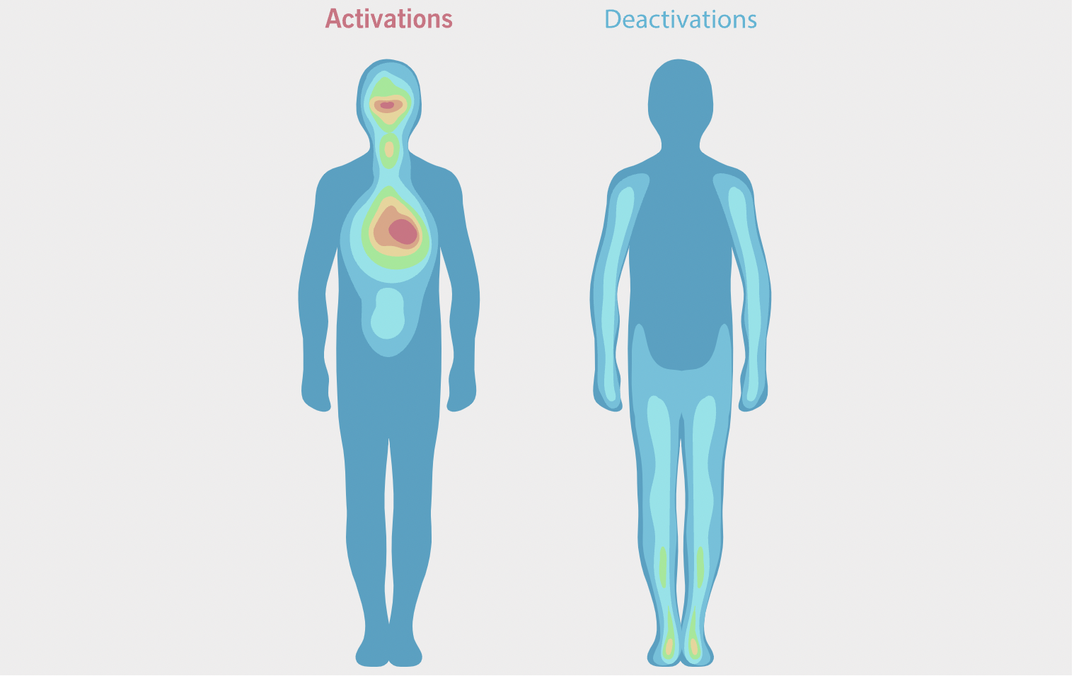 Where Emotions Reside Mapping the Landscape of Feelings in Your Body — Pillar Coaching Services