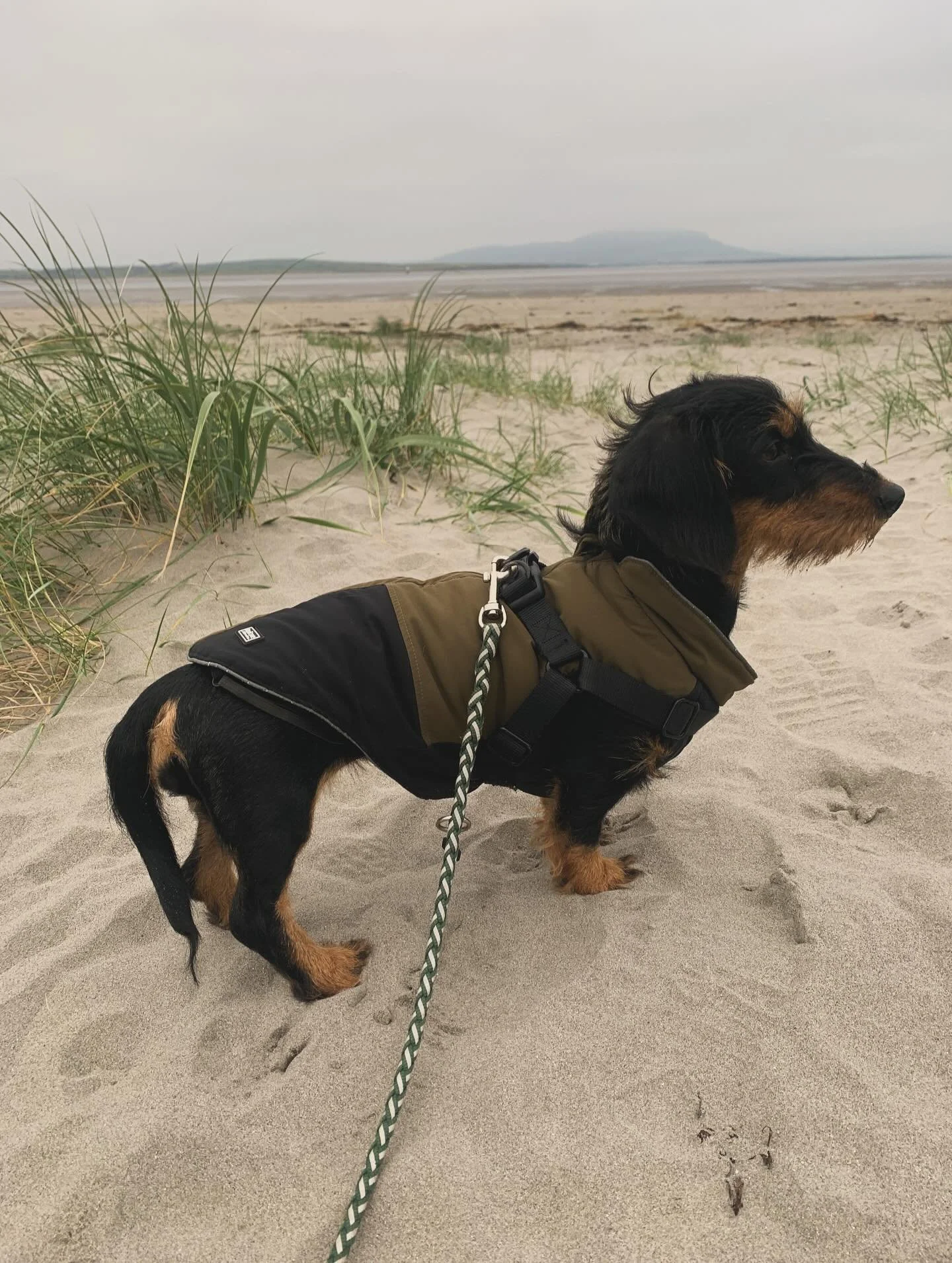 It&rsquo;s our baba&rsquo;s birthday 🥹
While she&rsquo;s only 2, this birthday feels extra special given that we weren&rsquo;t sure if she&rsquo;d still be with us for it. The last couple of months have been crazy - but we&rsquo;re continually amaze