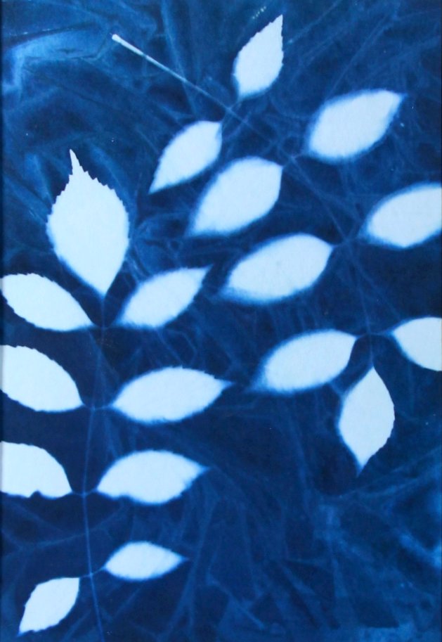 SB_9_closeup.jpg