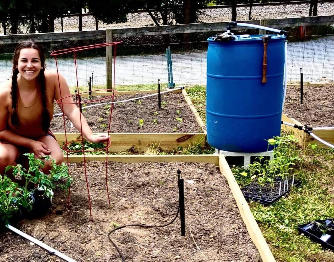 Revitalization of the Belmont Community Garden — Belmont Community Garden