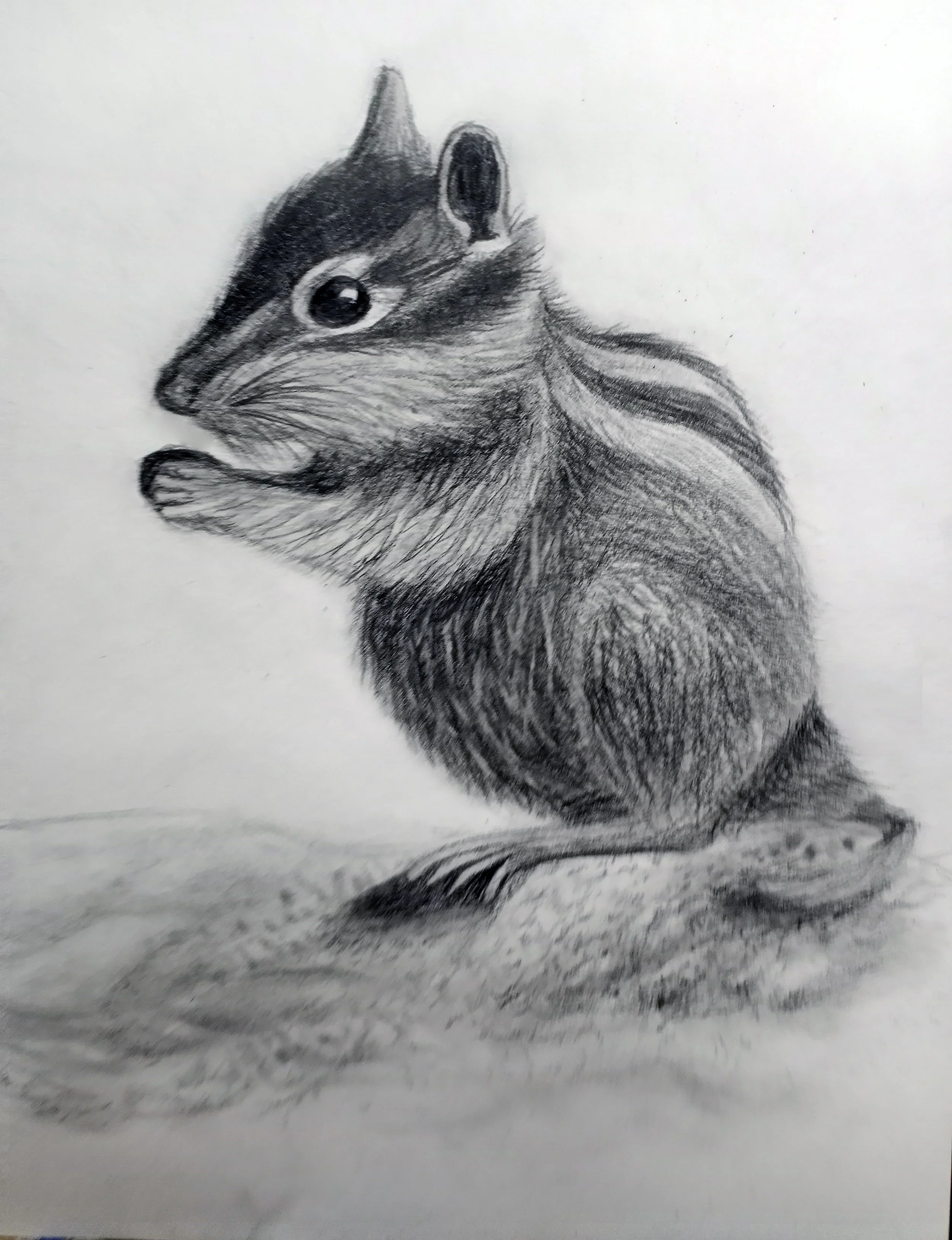 Kids' Drawing