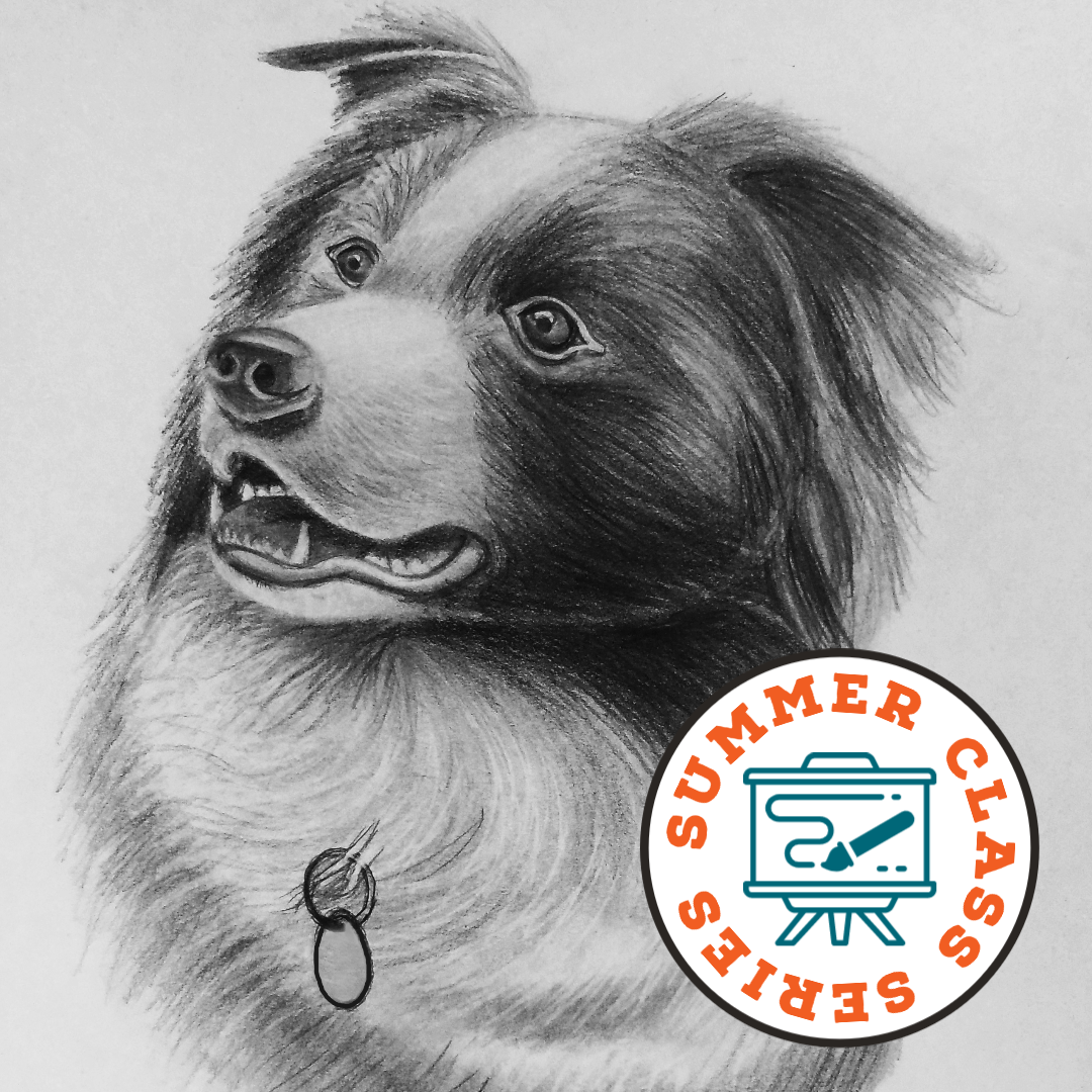Drawing — Schack Art Center