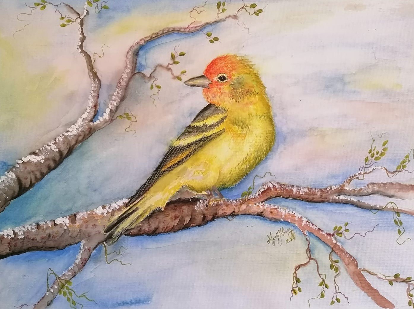The Bird Mixed Media: Acrylic + Watercolor — Schack Art Center
