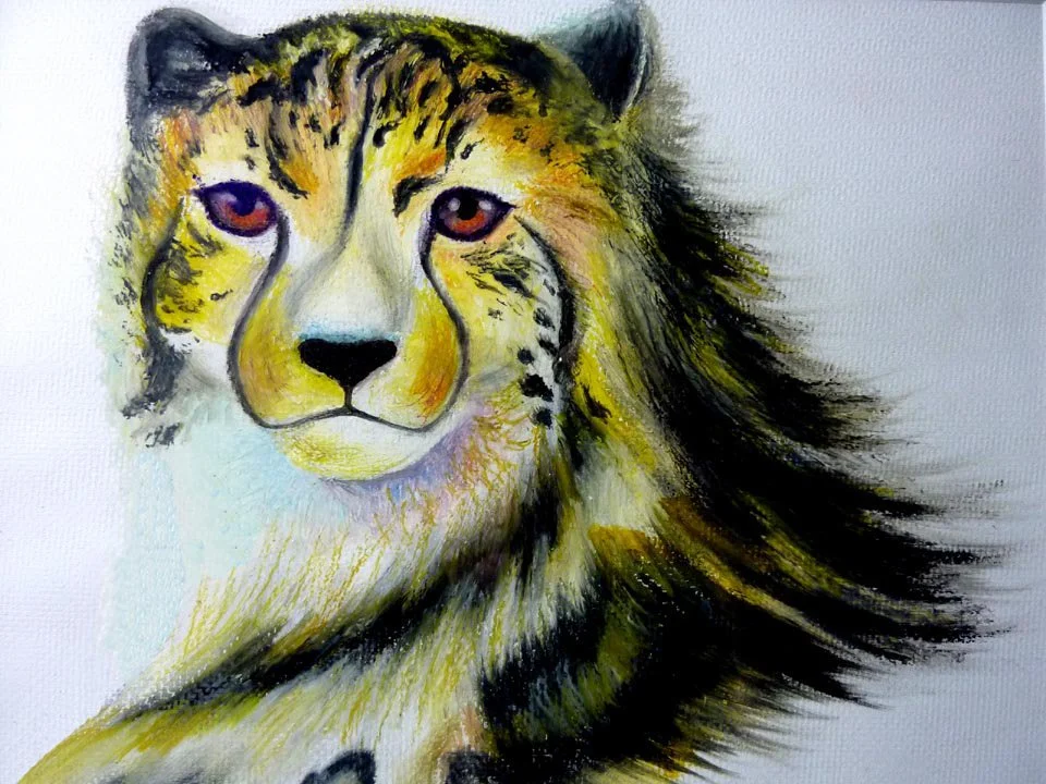 Drawing with Colored Pencil