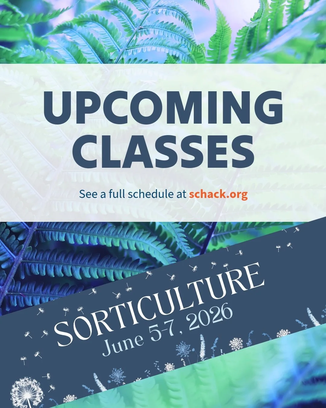 Sorticulture is just around the corner and we are excited to once again partner with the City of Everett on garden-inspired classes all weekend long during Sorticulture. 

Head to schack.org/sorticulture for the full line up of classes. 
Scholarships