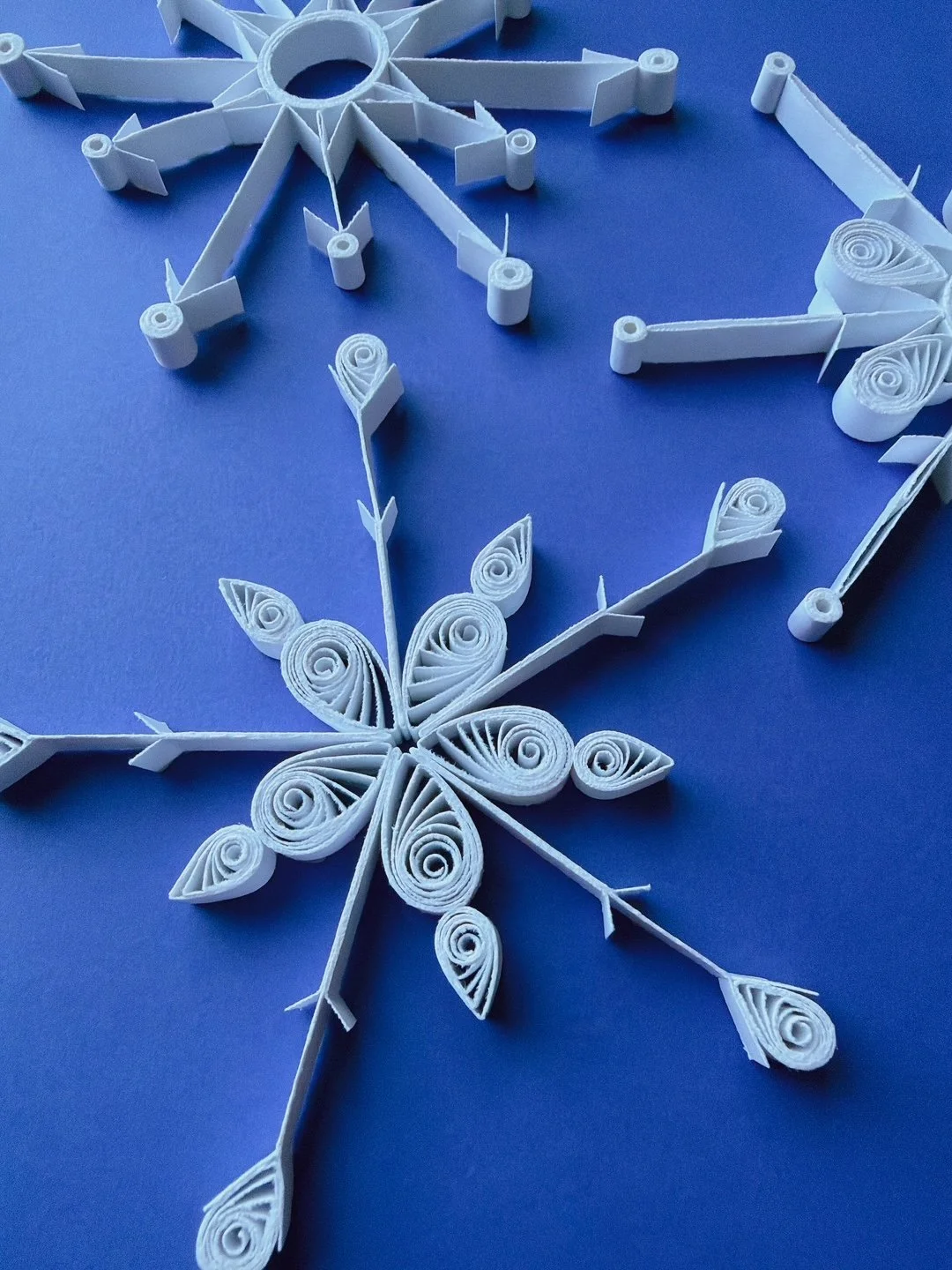 Paper Quilling: The Art of Rolled Paper 