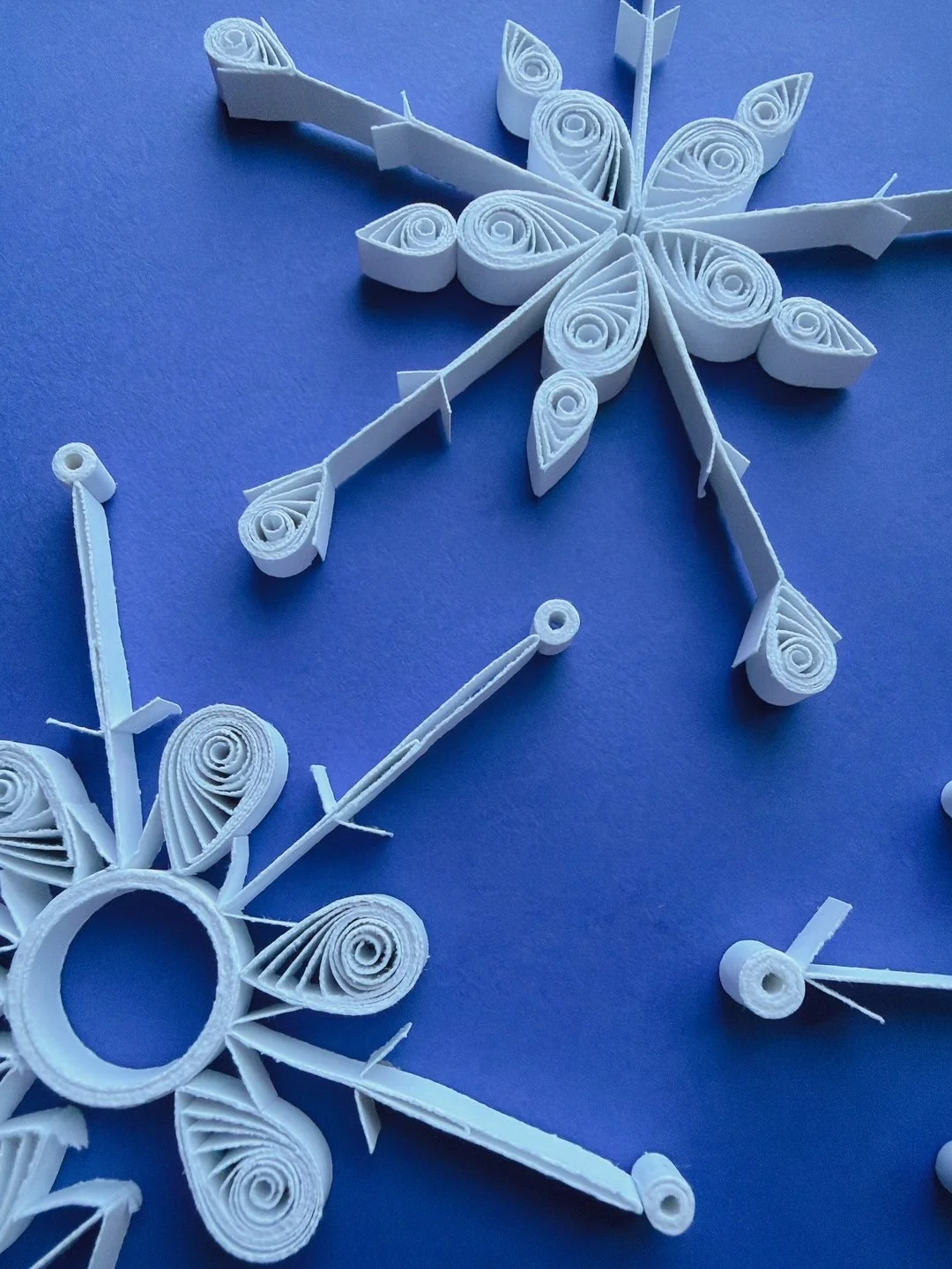 Paper Quilling: The Art of Rolled Paper