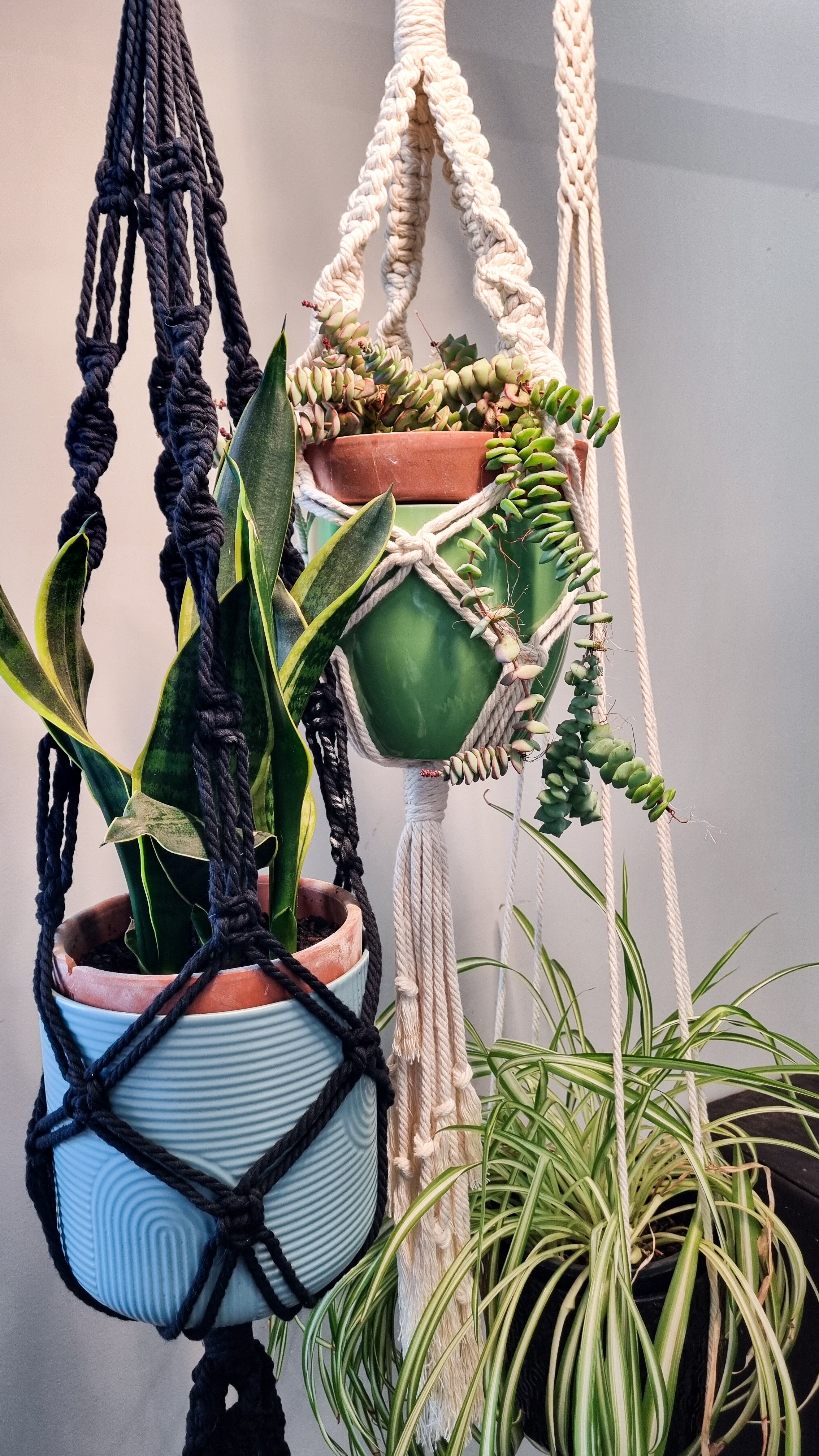 macrame plant hanger 1.jpg