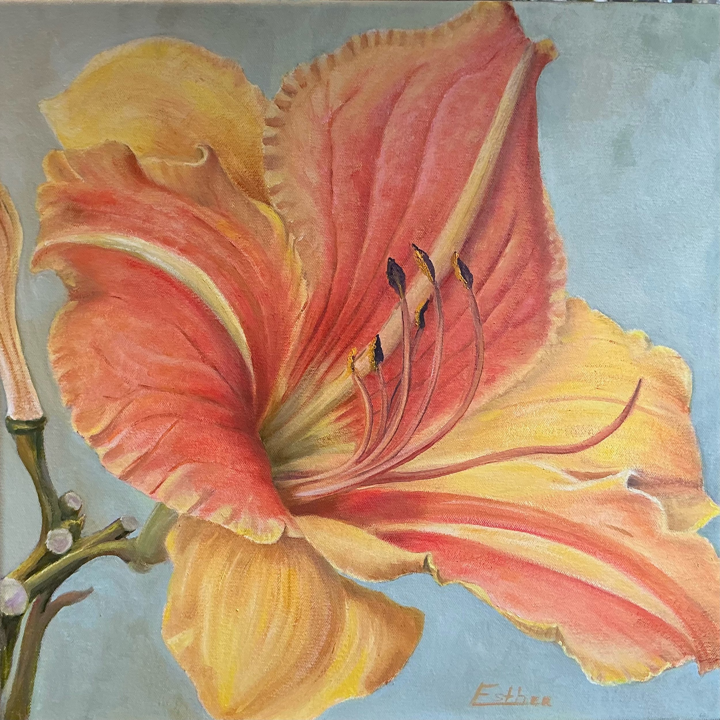 Laura Esther, DayLily