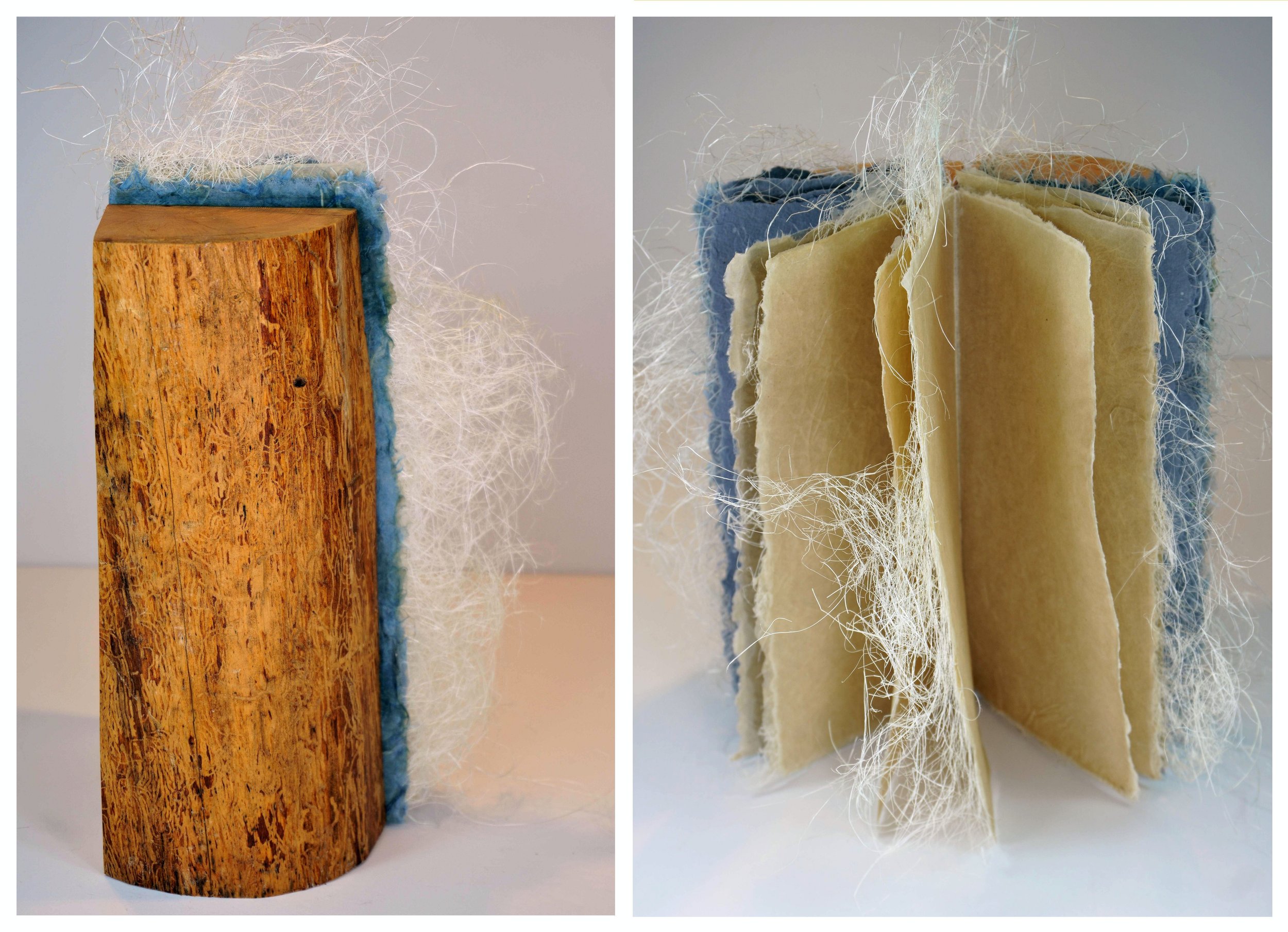 Suze Woolf, Hyphae Artist Book