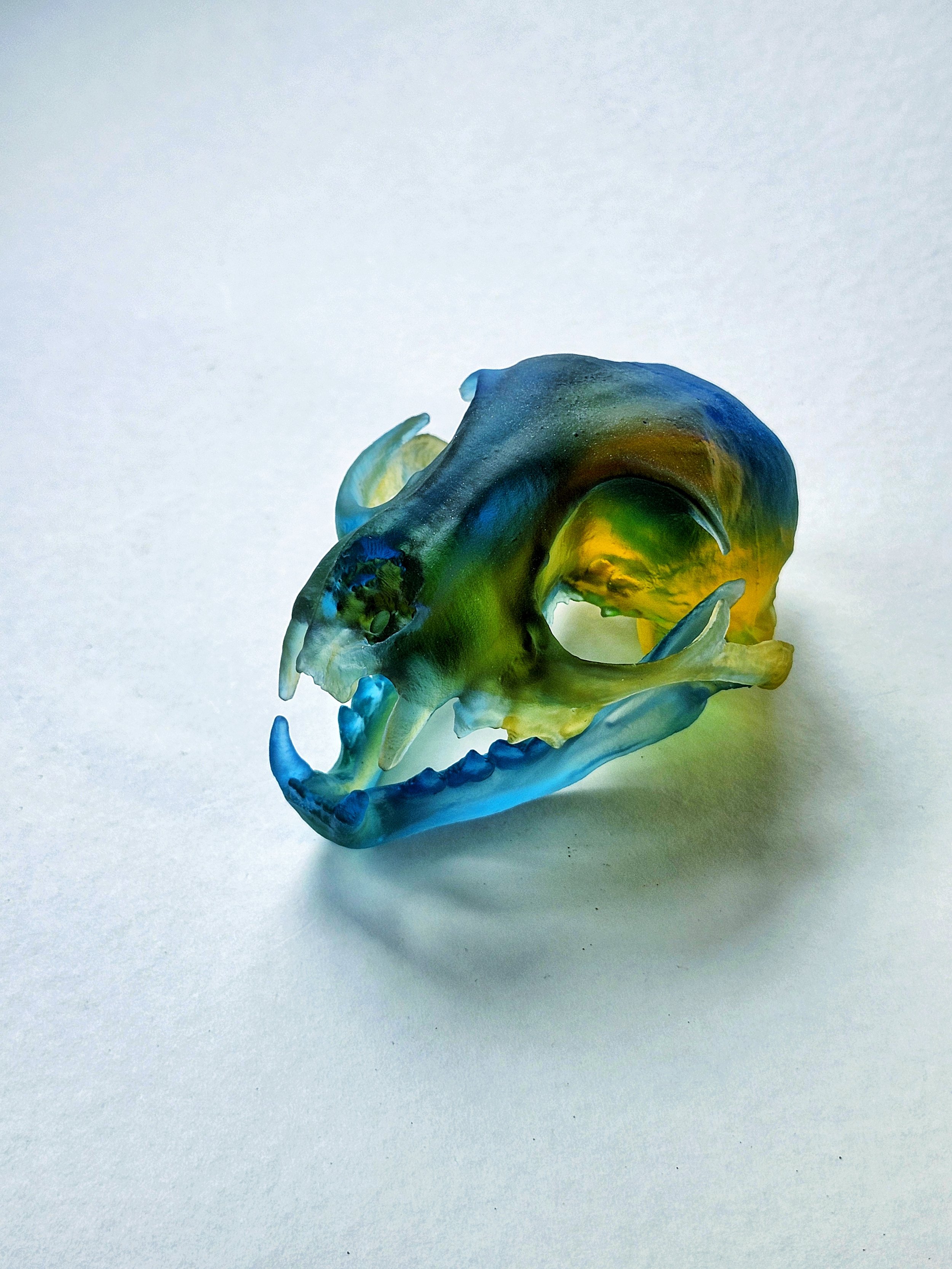 "Bobcat" kiln-cast glass