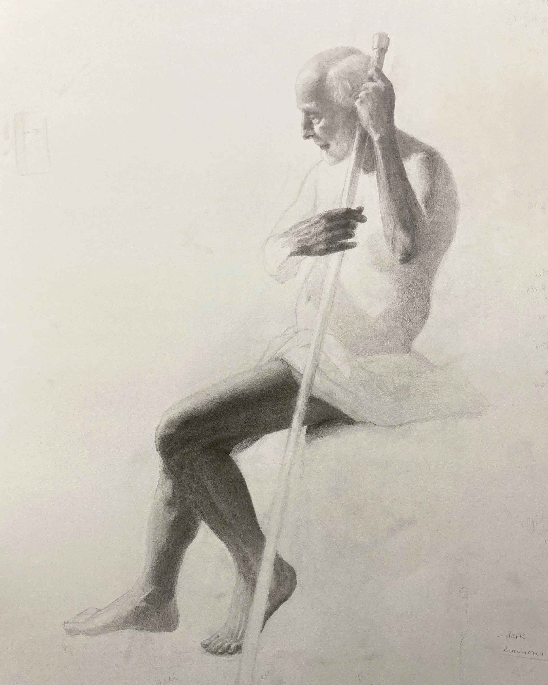 figure drawing shrike2.jpeg