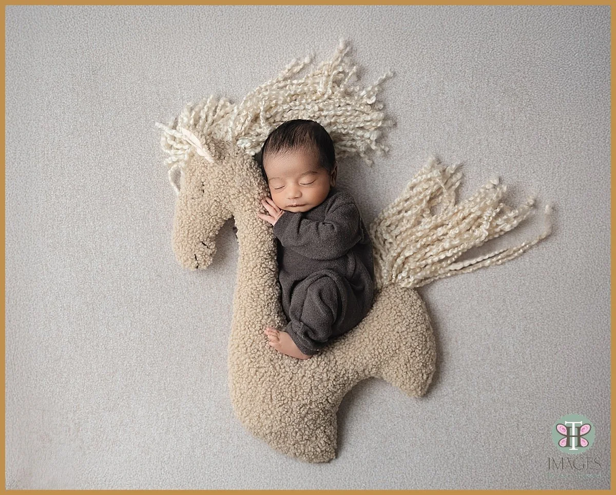 Baby Luca’s Newborn Session | Bothell WA Newborn Photographer