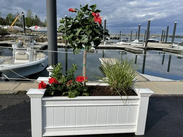 summer porch decorating services