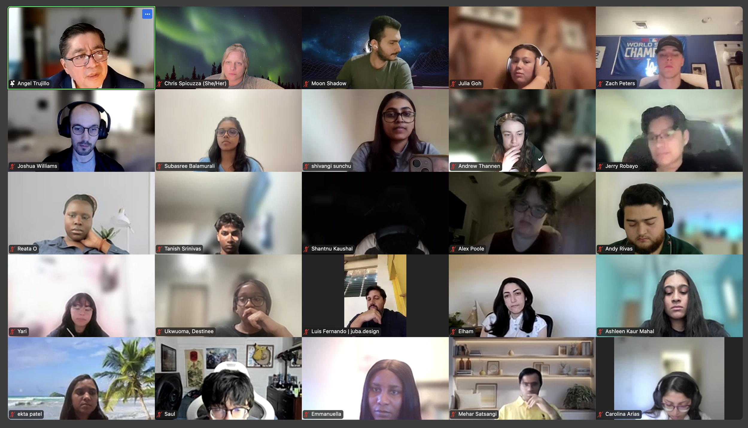 Screenshot of a team meeting