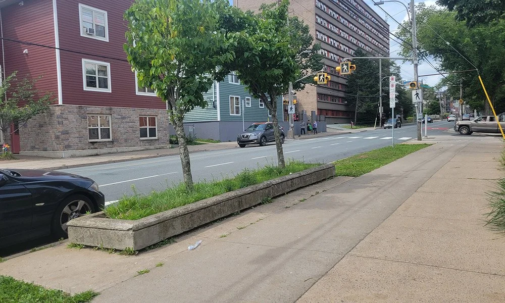 Curbside Blooms