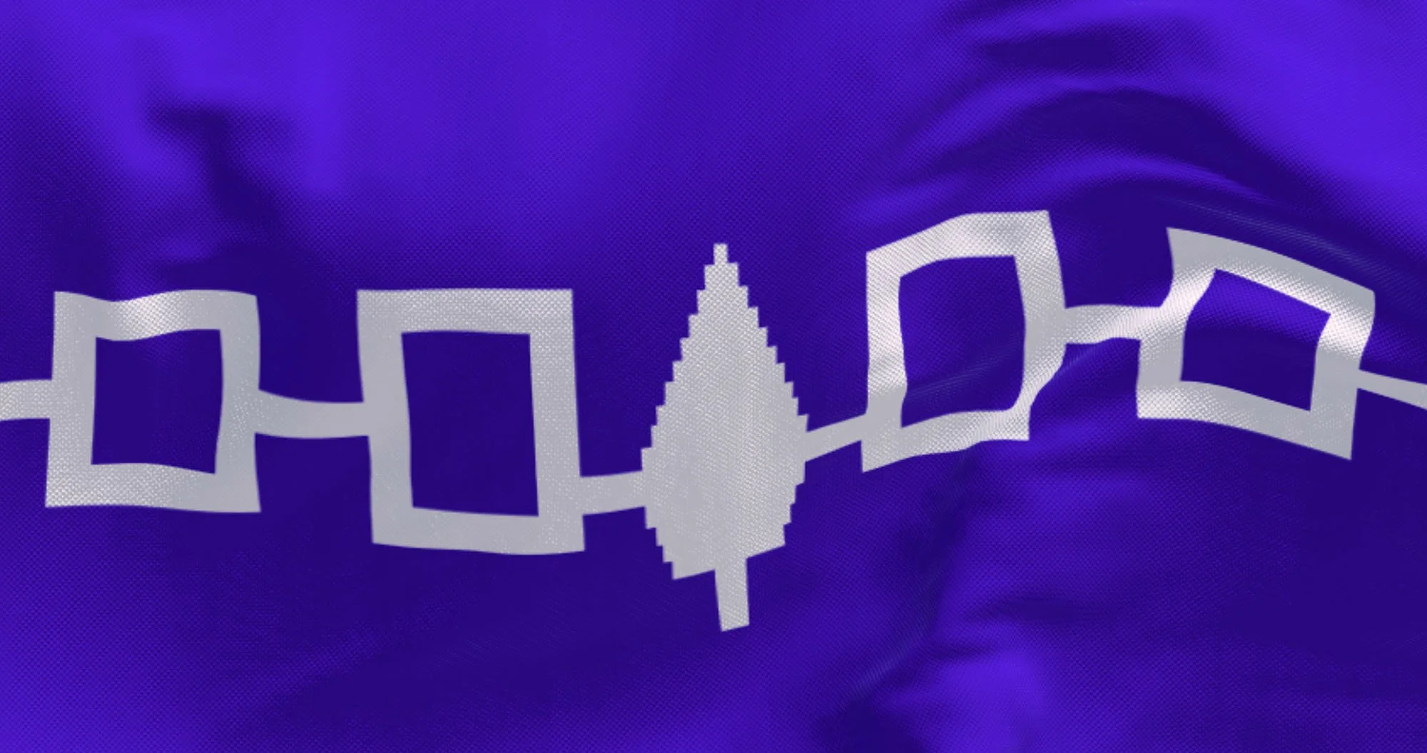 The flag of the Iroquois Confederacy or Haudenosaunee flag.