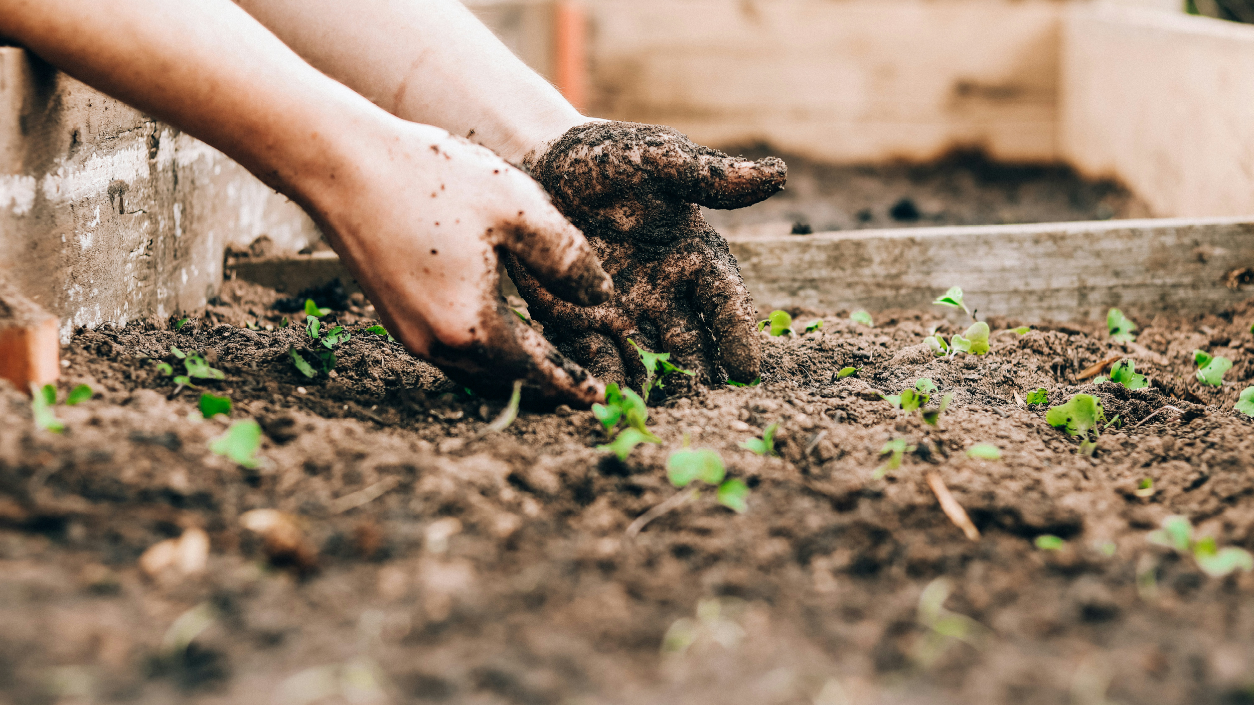Compost Made Easy: Backyard Composting 101