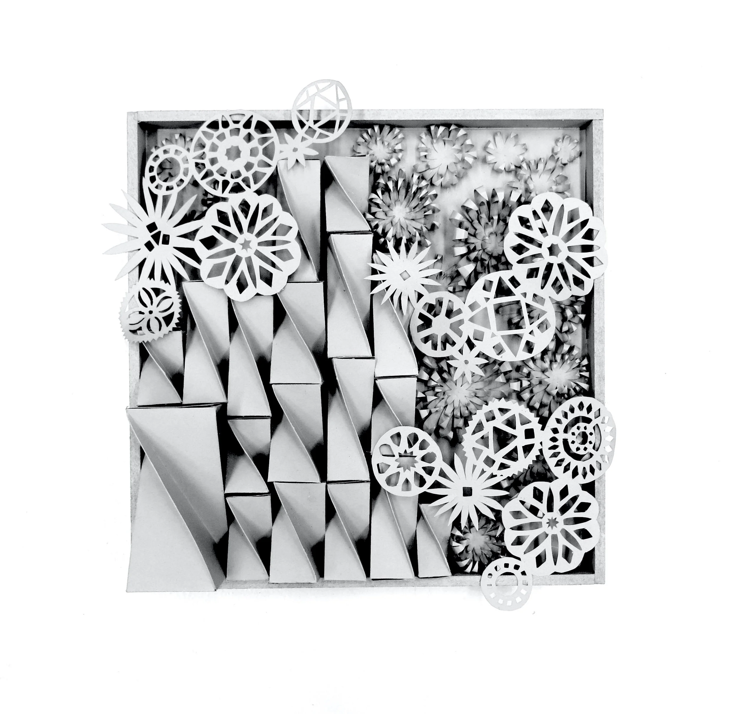 veronica_pifer copy.jpg