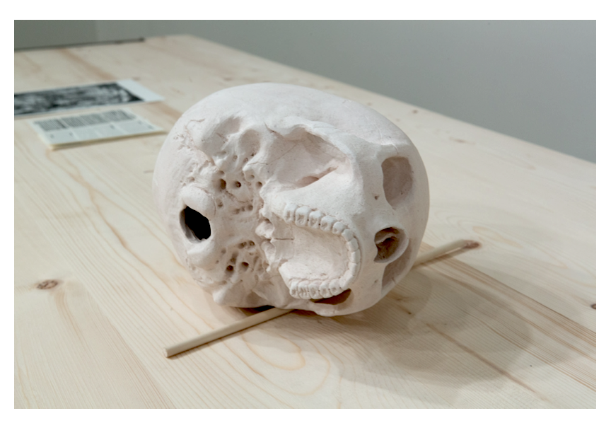 Screen Shot 2023-03-20 at 11.57.29 AM.png