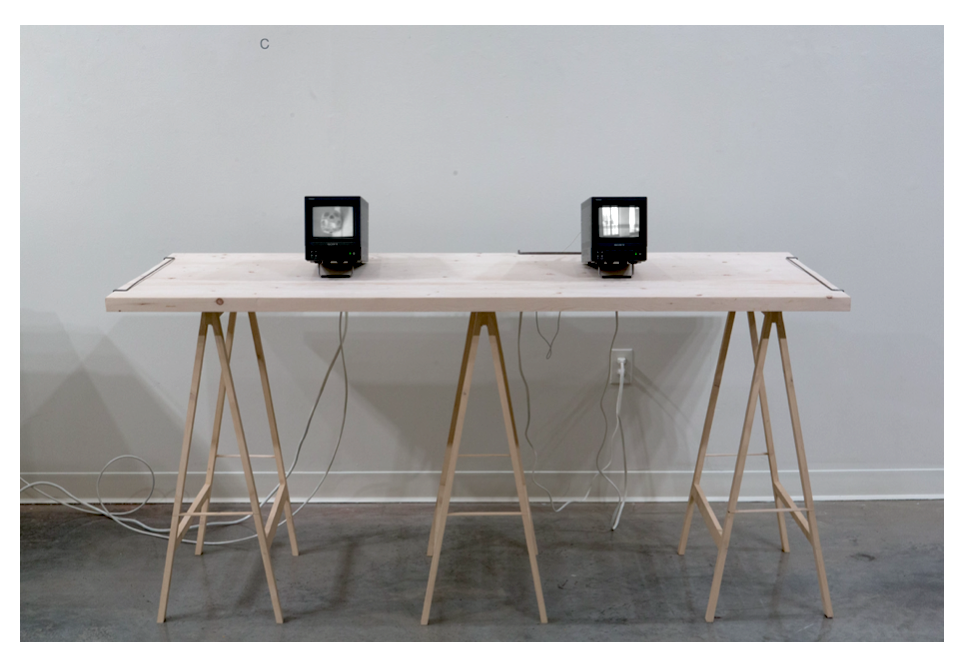 Screen Shot 2023-03-20 at 11.56.47 AM.png