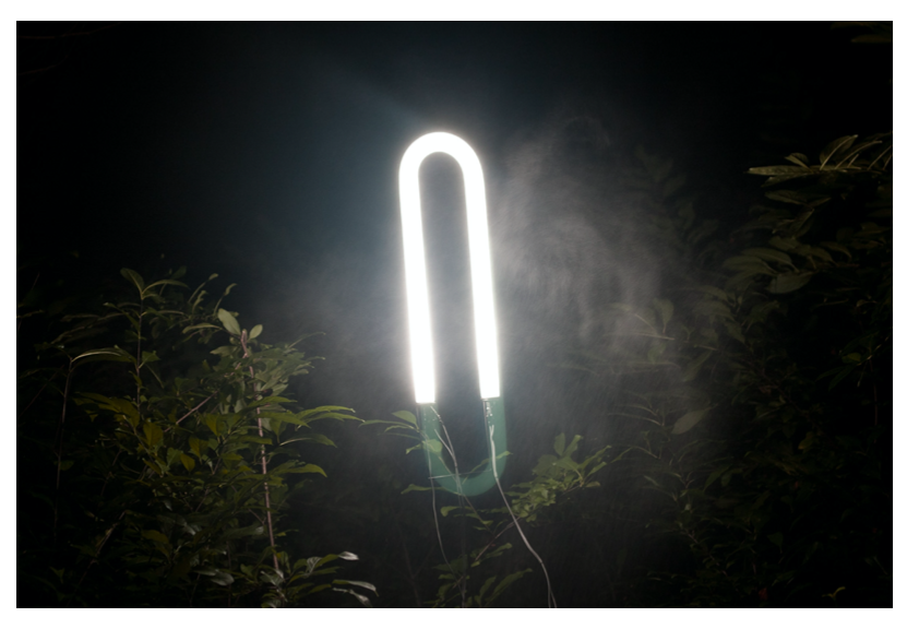 "Ether 1" 
fluorescent bulb, , welded steel, foliage, mist
dim. 6'x1'