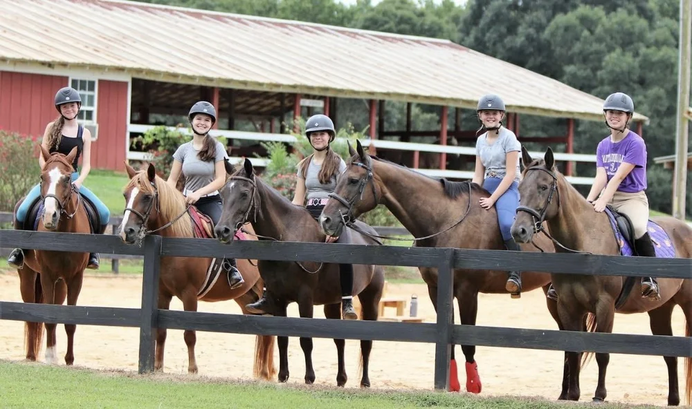 Lesson Barn Riding Levels Lessons — Love Reins Equestrian