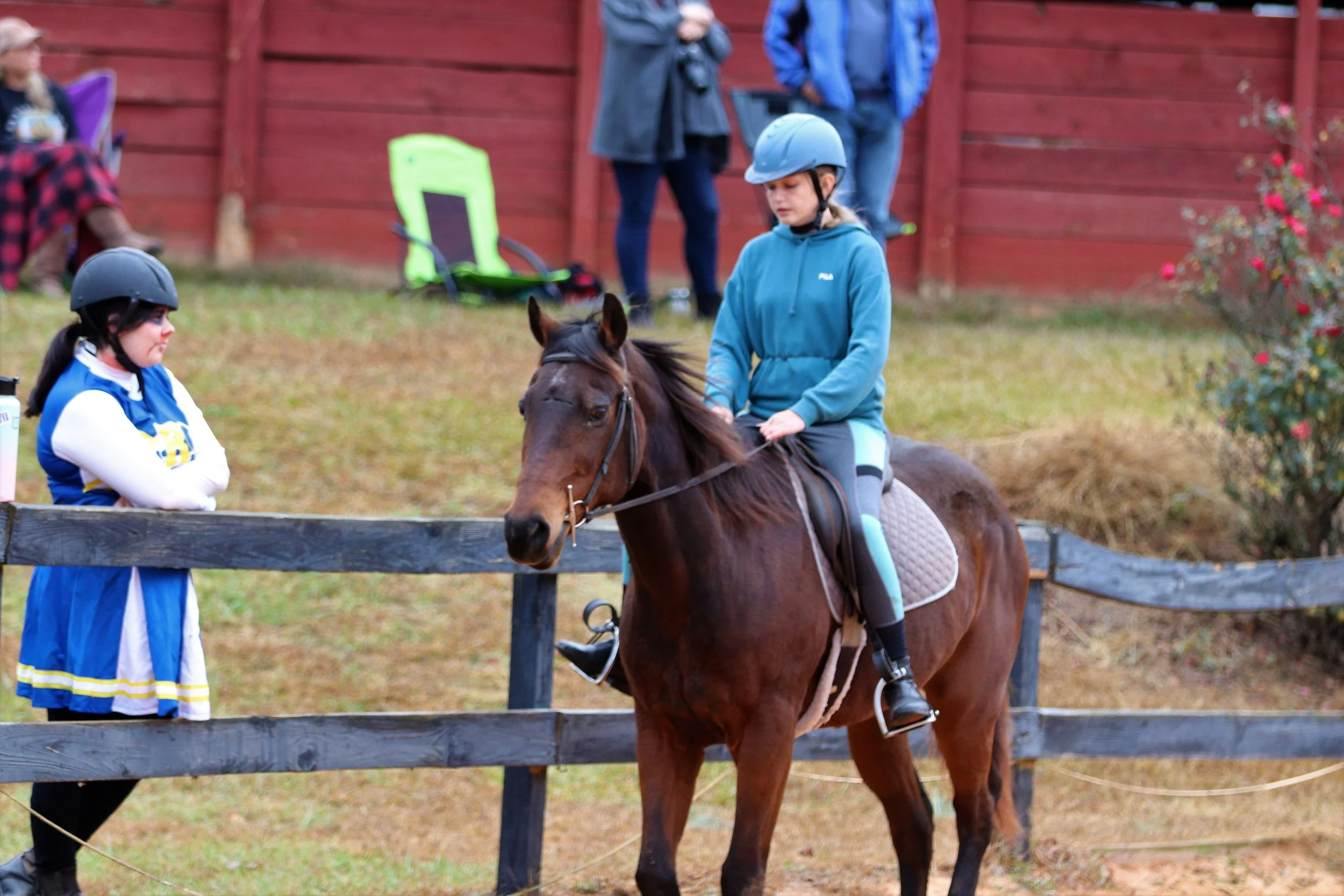 The Horses — Love Reins Equestrian
