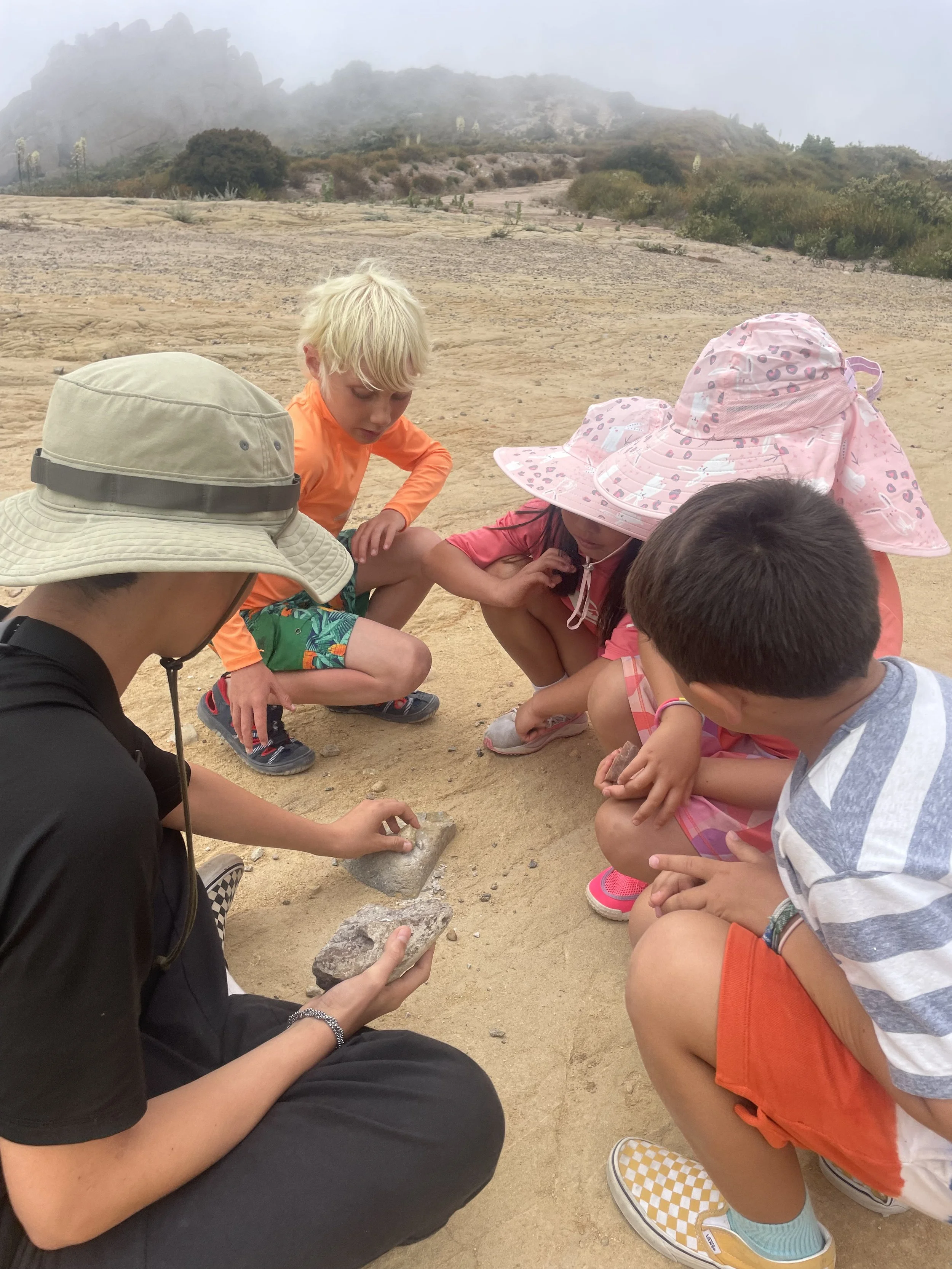 Summer Camp - Weeks Tuition