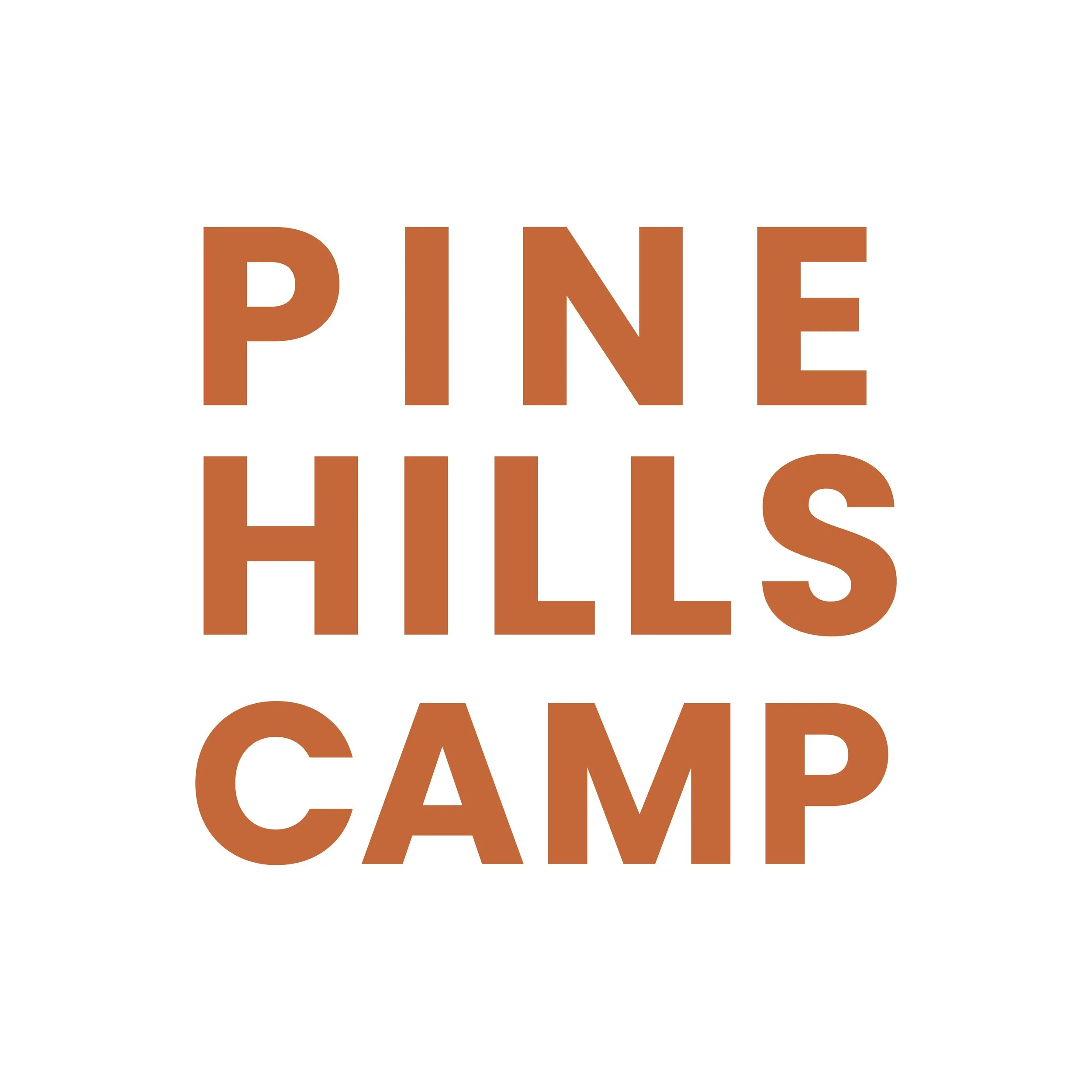 Workshops — Pine Hills Camp