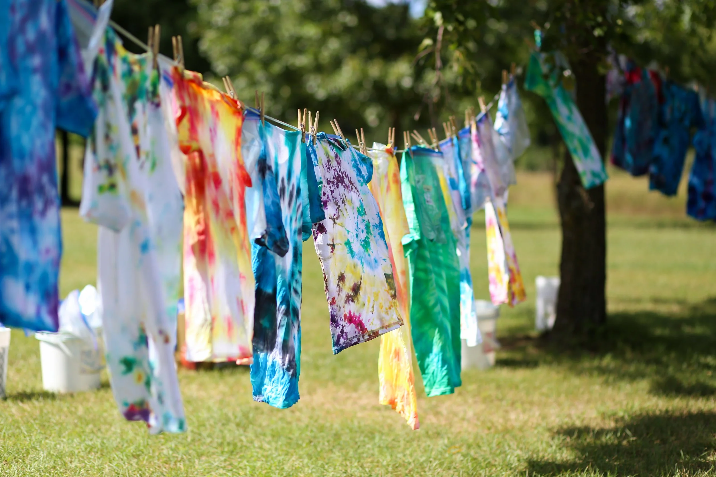 Workshops — Pine Hills Camp