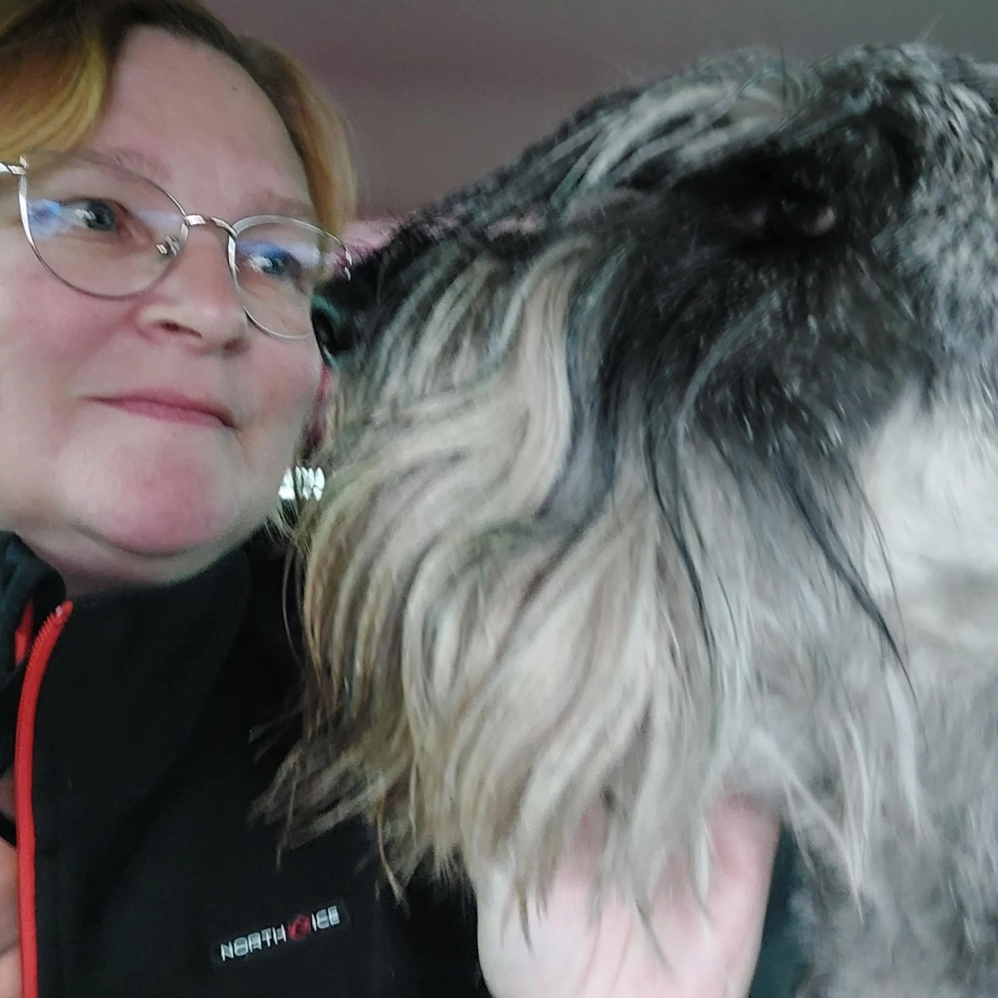 merjan esittelykuva.jfif