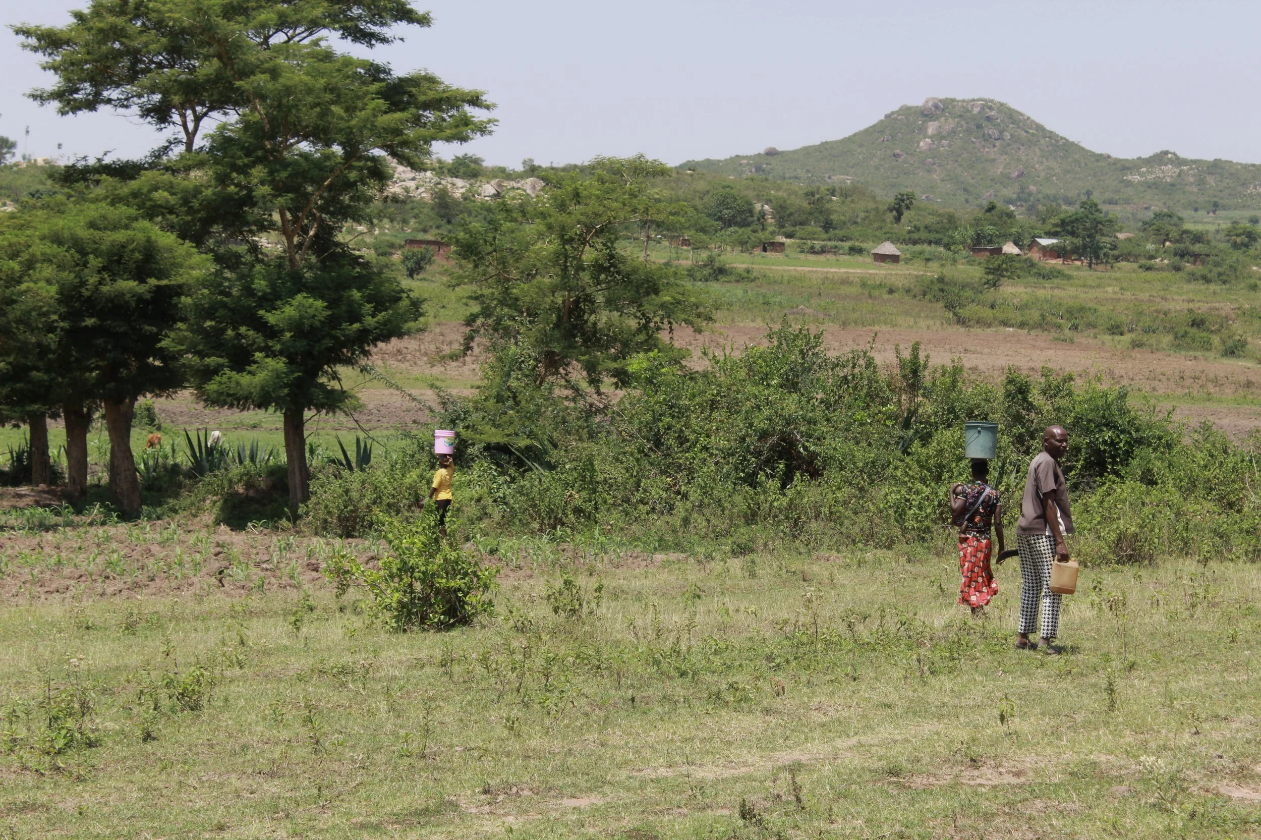 People walking through a green rural landscape with buckets of water.