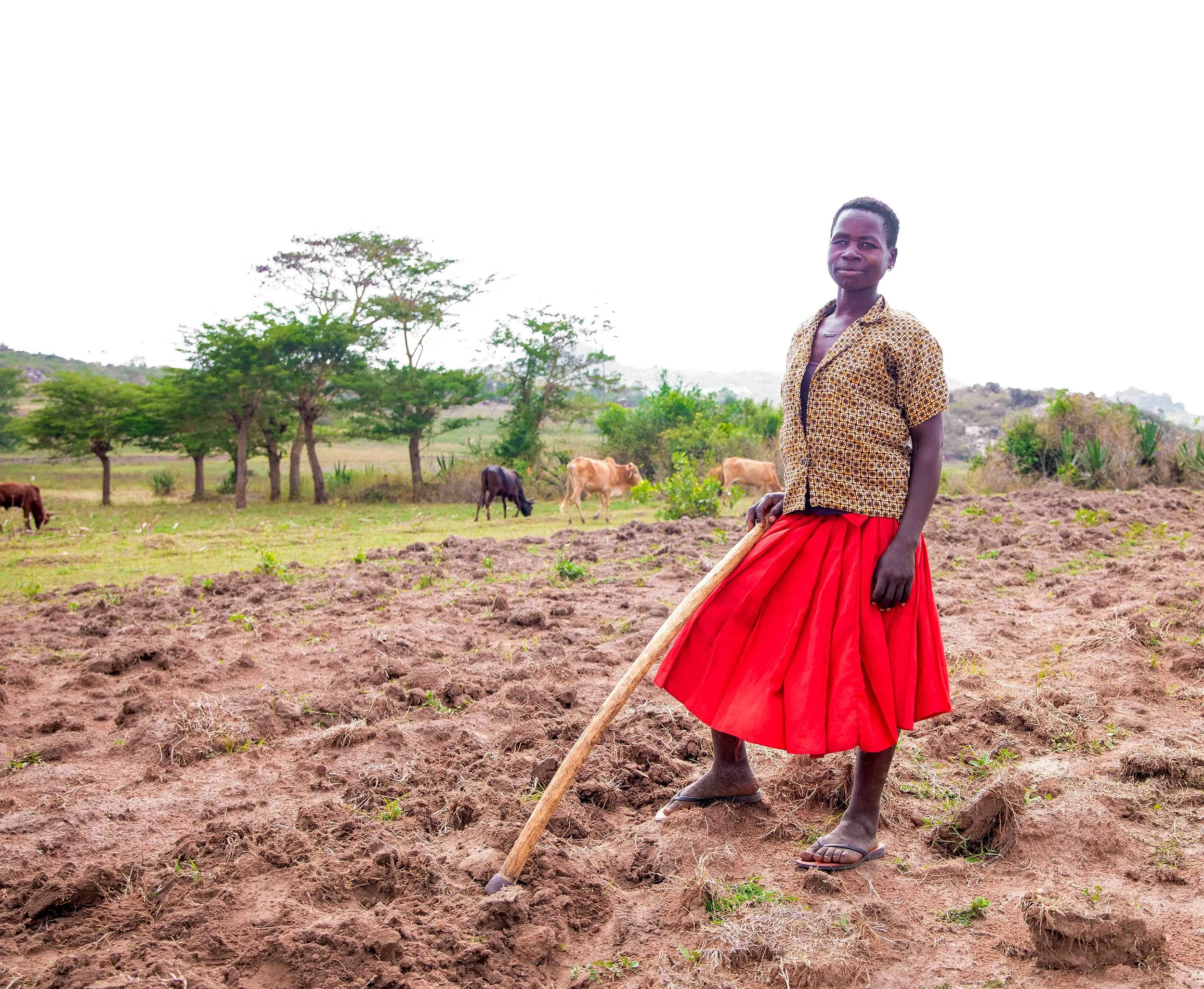 A woman holding a hoe preparing area for crops..