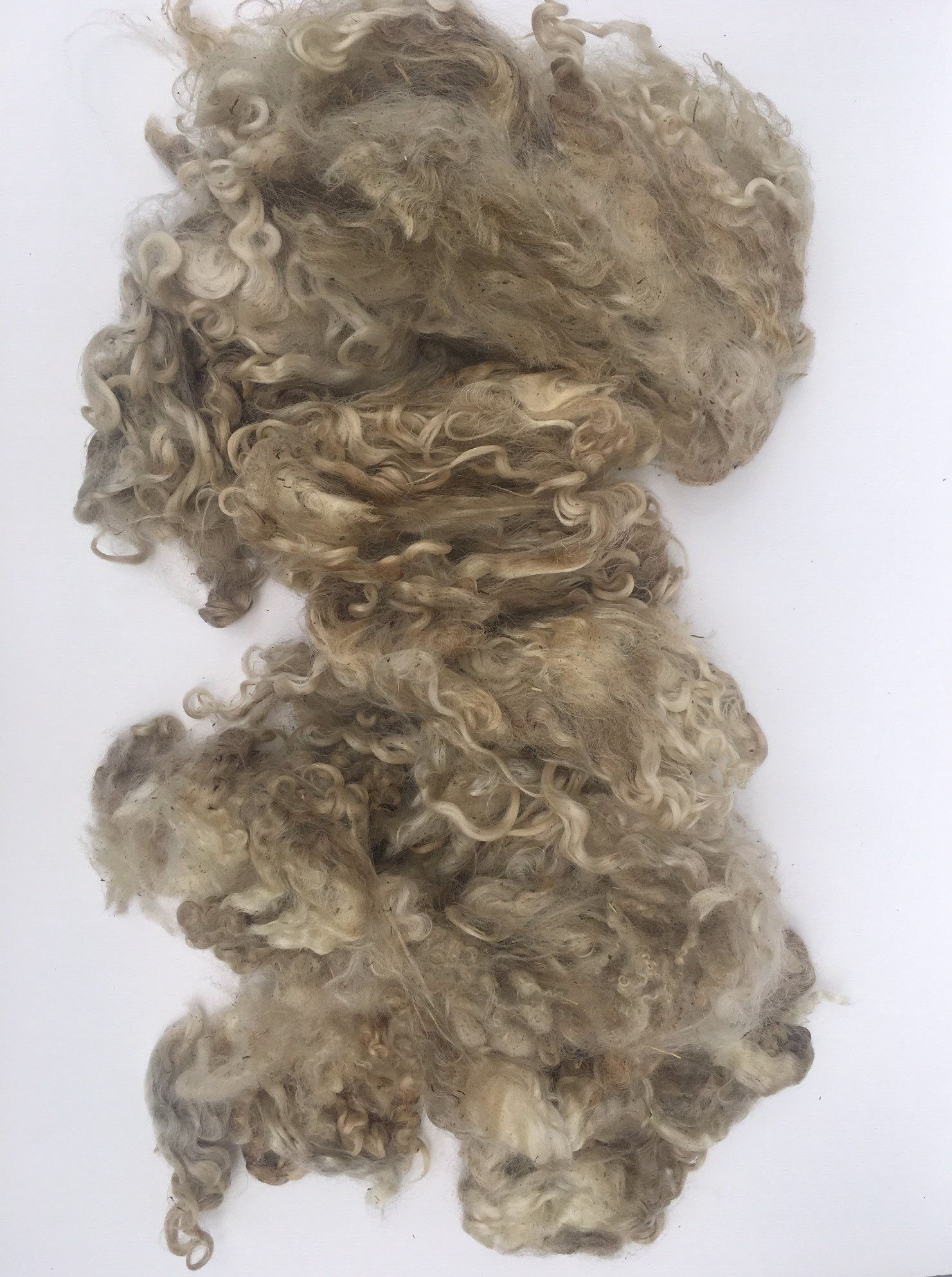 wool-10-e1563555637504.jpeg