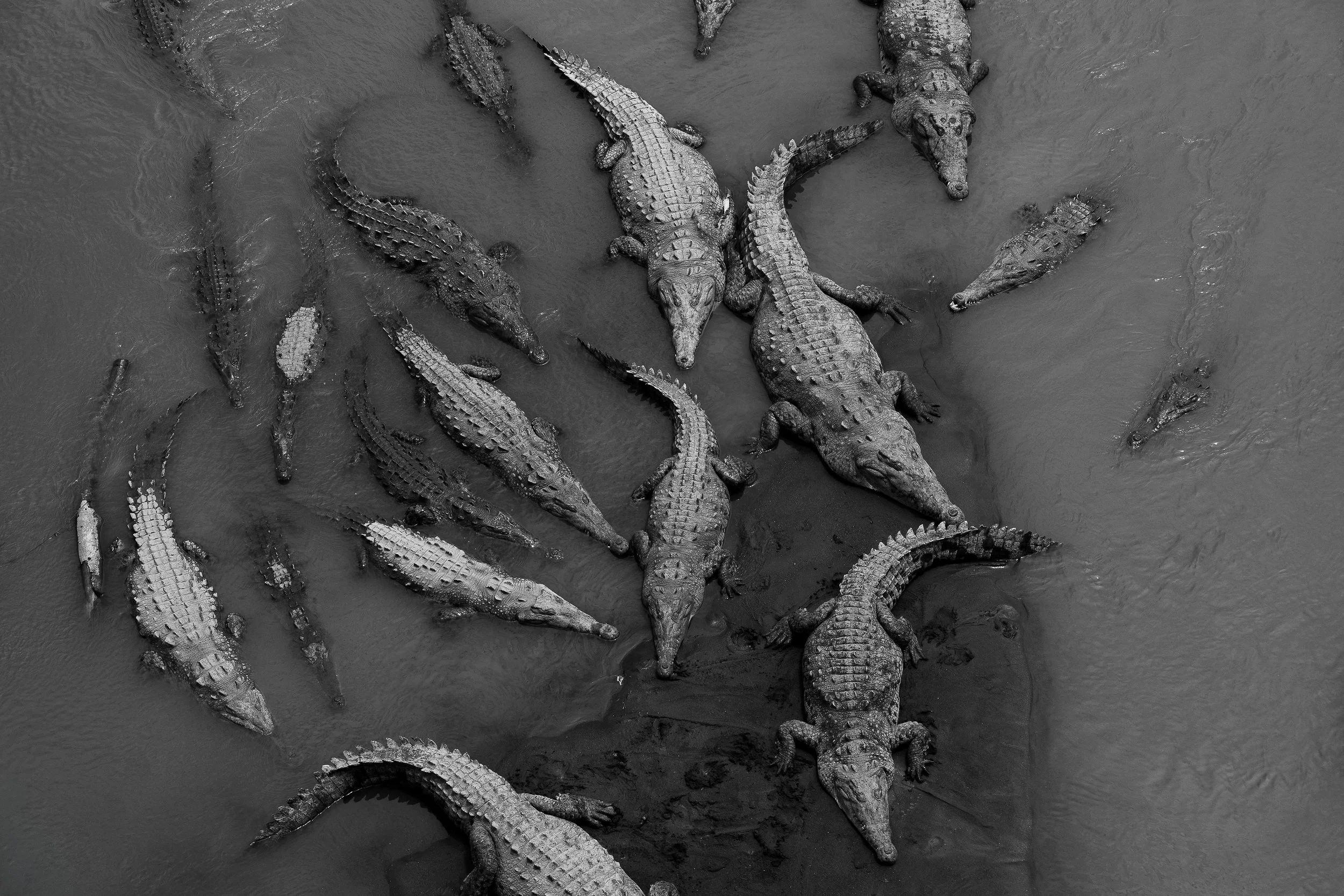 costa-rica-crocs.jpg