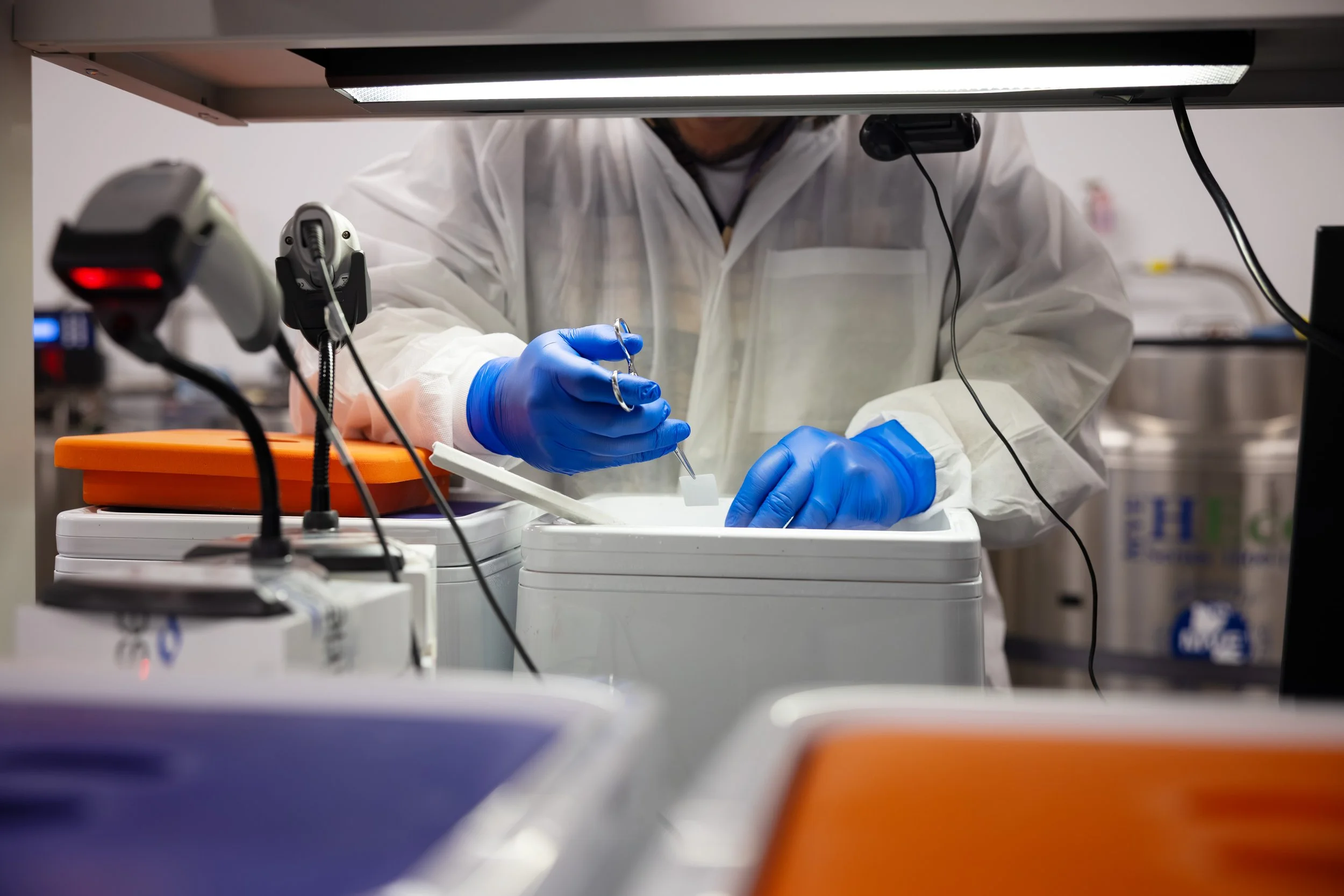 cryo-cells.jpg