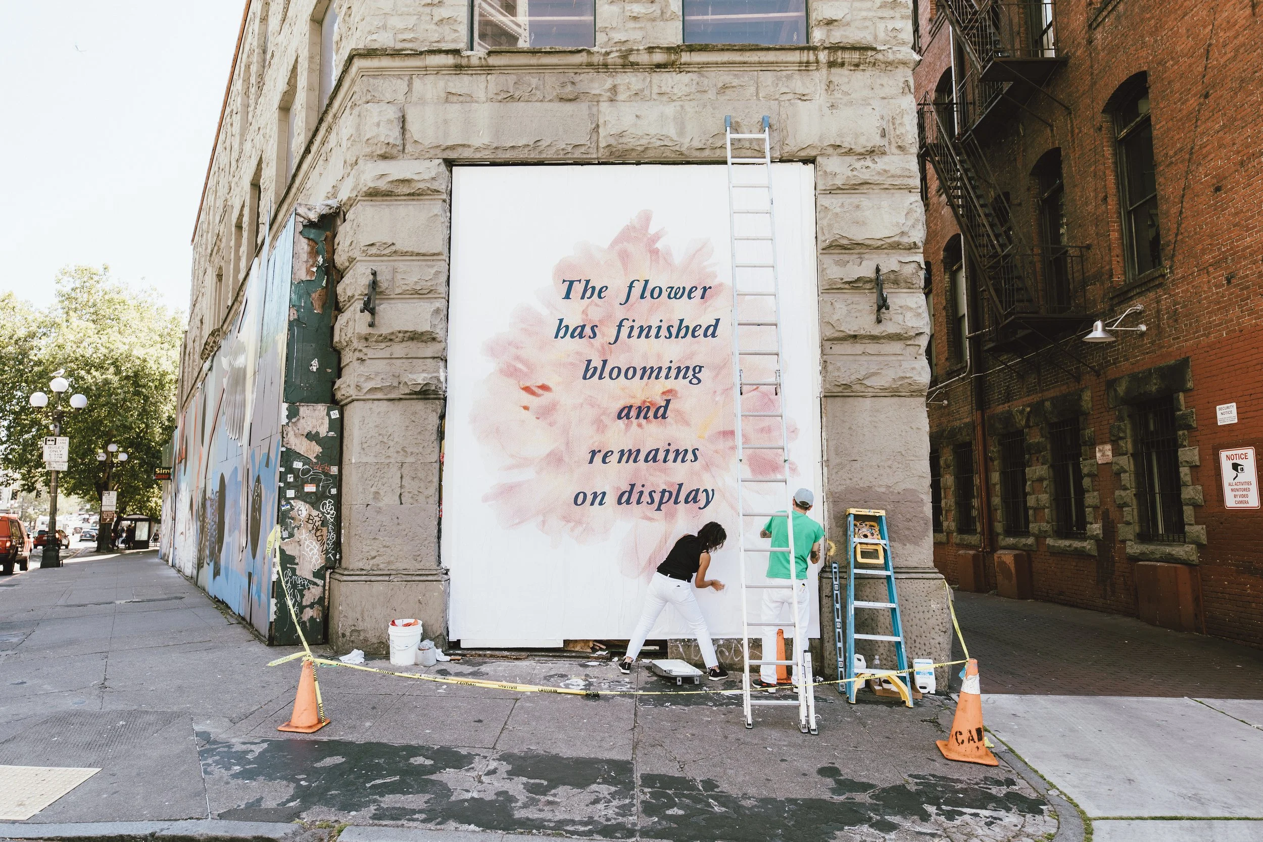 The Flower Has Finished Blooming and Remains on Display, installation