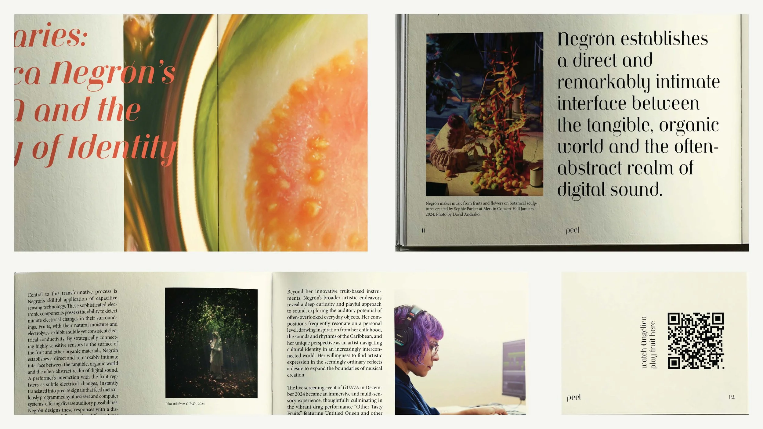 peel_presentation (2)_Page_16.jpg