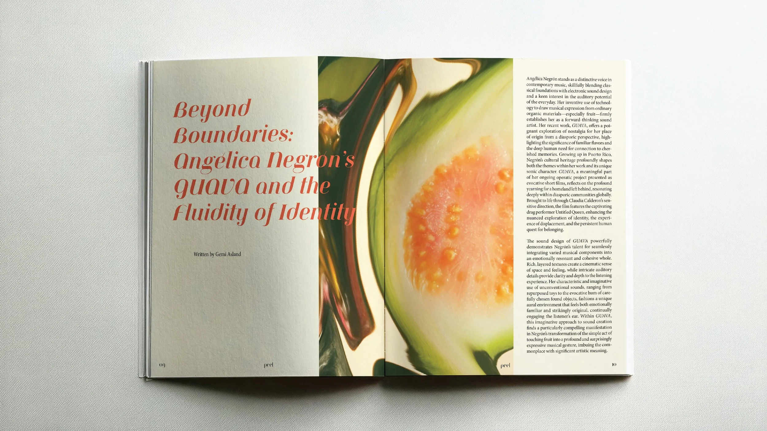 peel_presentation (2)_Page_14.jpg