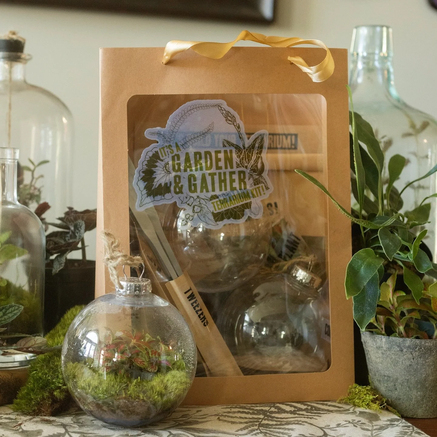 💀🌱 Welp Halloween is over so now I don&rsquo;t have to feel bad about showing y&rsquo;all my awesome new ornament terrarium kits! 👀 I based these guys off of my most popular workshop every year; partly because I&rsquo;ll be too busy to do many of 