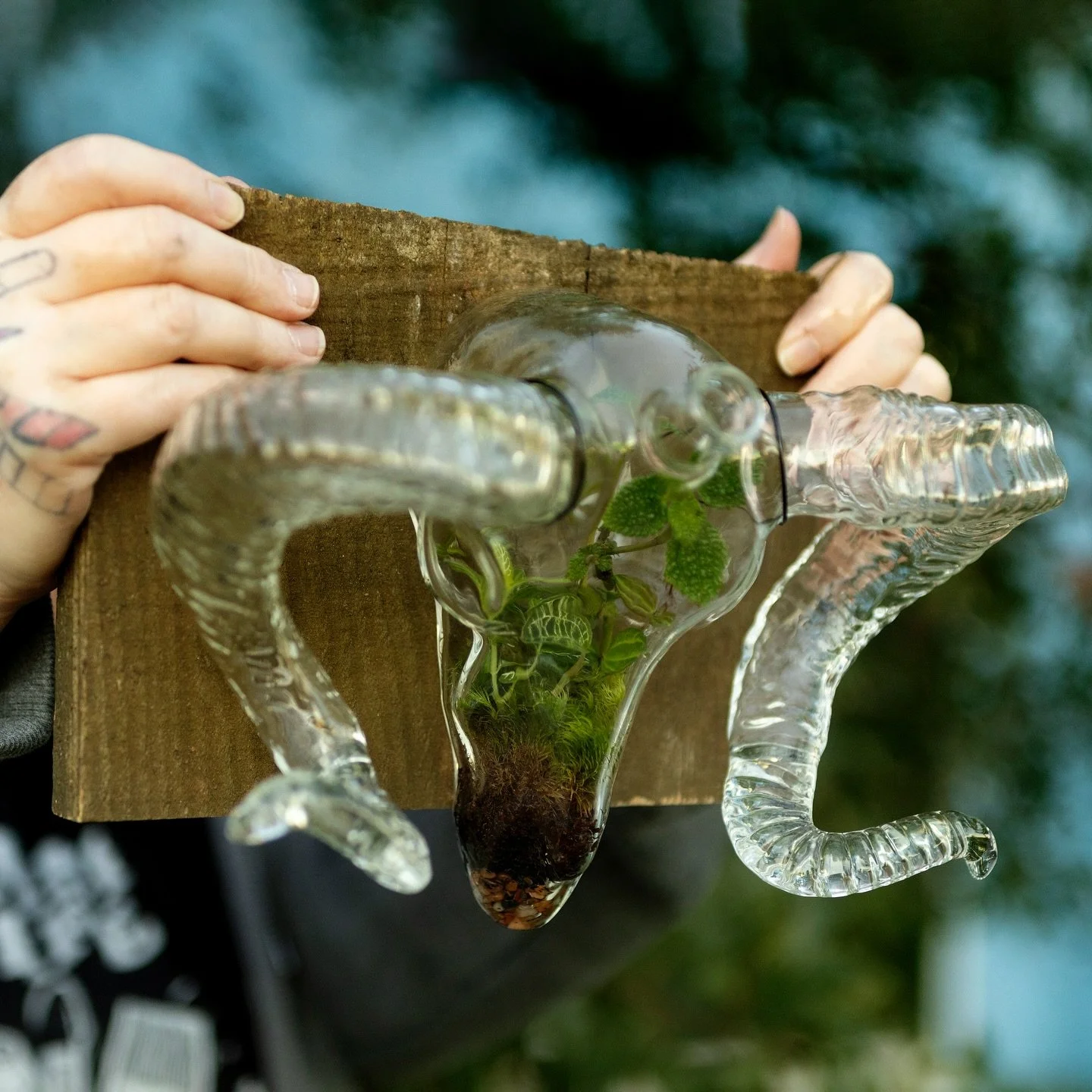 💀🌱 One of the best things about being in business with your wife is that sometimes you can sucker her into holding weird fragile stuff in weird positions for extended periods of time while you try to get the perfect photos to document the overall w