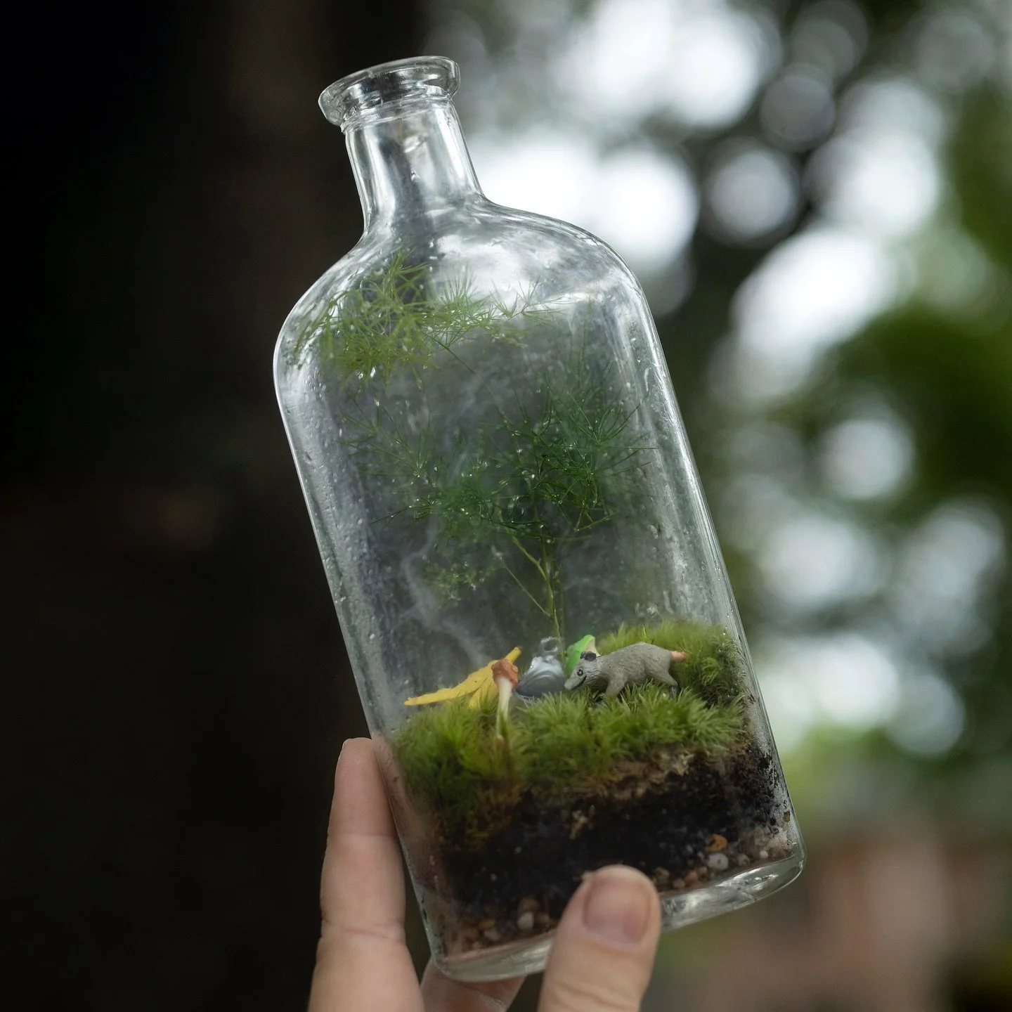 🐀 EXPERIMENT TIME 🦴🍌 If you&rsquo;ve been following me for a while now you probably know I&rsquo;ve never been super big on the &ldquo;fairy garden&rdquo; aesthetic of terrariums, at least not for myself - while I&rsquo;m always happy to add non-p