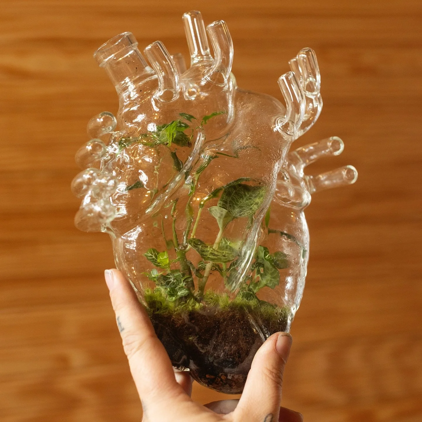 🌱💚 I think this heart is one of my favorites so far, everybody just all fit in with each other so nicely! I&rsquo;ll have her with me at @raleighdprfm @rebusworks this weekend and she&rsquo;s still up for grabs! Stop by and see me building more wei