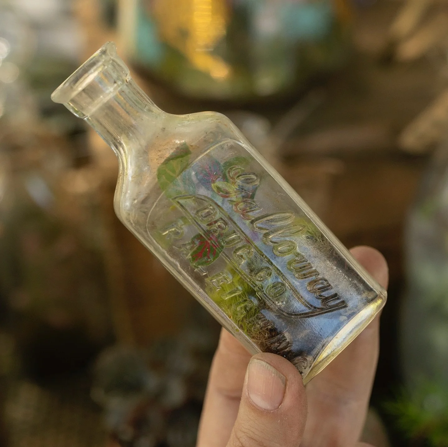 Everybody loves a local, right? 🌱✨ After a lotta searching I finally came across a smattering of bottles from the Raleigh/Durham area, including this super cute Galloway Drug Co. buddy! I&rsquo;ve included a photo of the location in downtown Raleigh