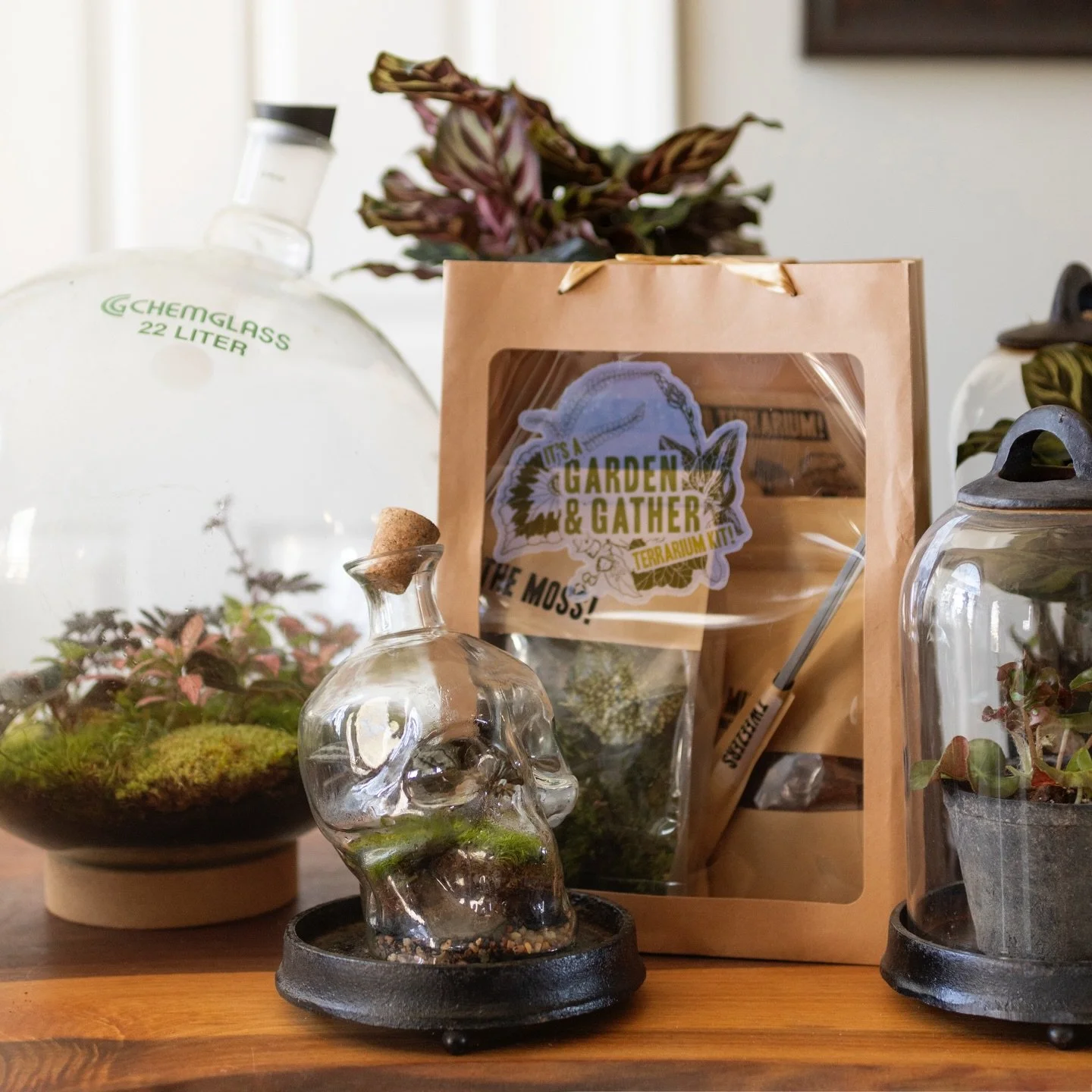 ✨ New kit alert: the spooky skull! Just in time for spooky season! Because spooky season never stops (but these bottles are limited in stock, so supplies might) 😉💀 if you can&rsquo;t make an in person workshop, my mail order kits might just be perf