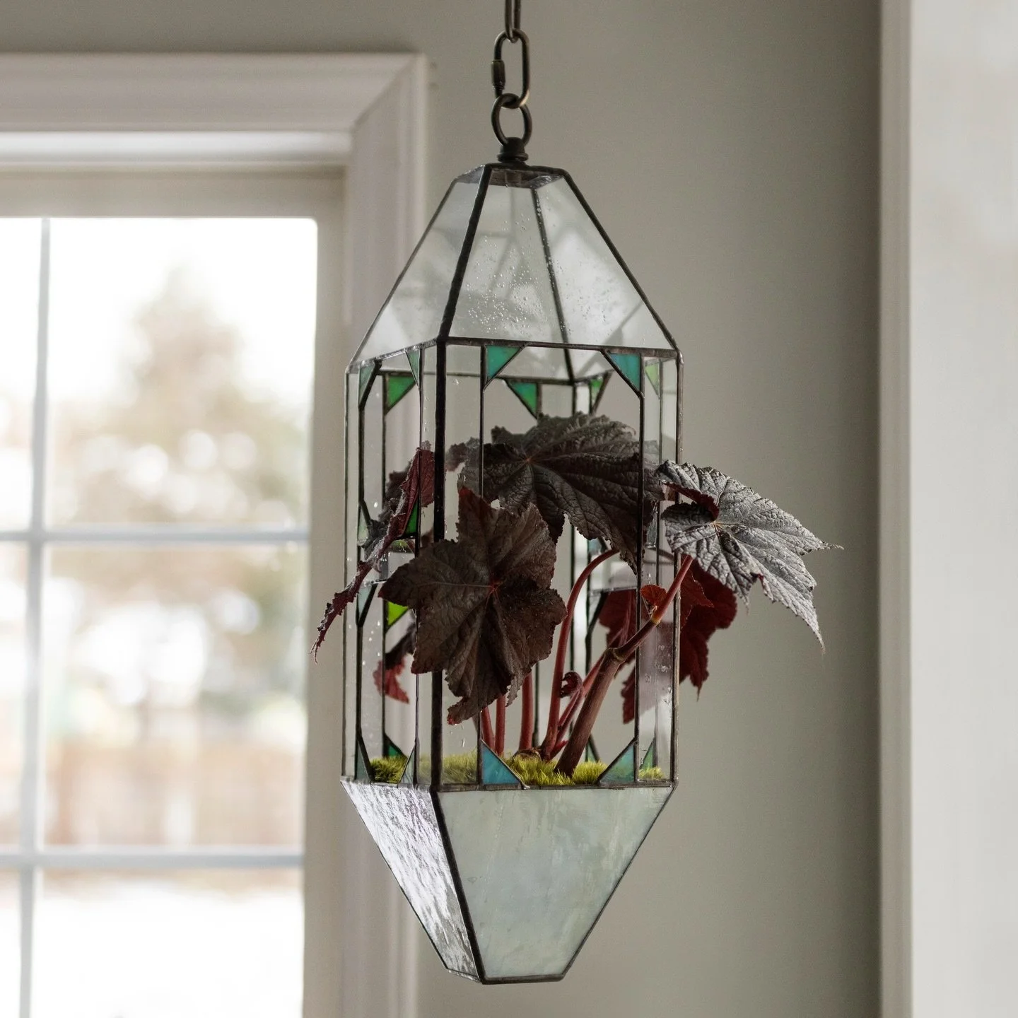 A lil goth begonia in some vintage stained glass to brighten up your gloomy day ✨🌱 this is probably one of my favorite pieces that I&rsquo;ve ever gotten my hands on, but it might be time to pass her on to a new home&hellip; maybe? 🖤 
.
#terrarium 