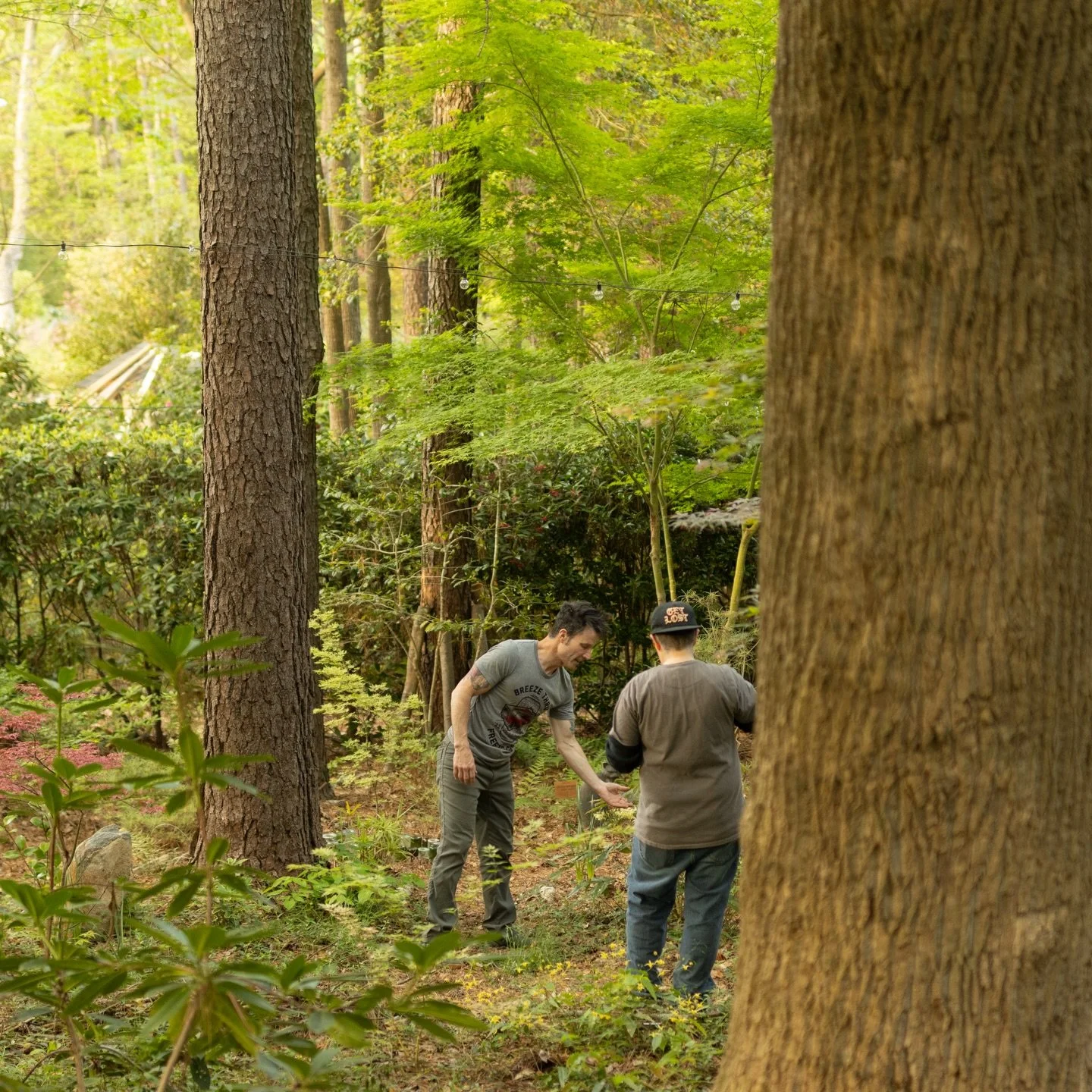 I wanted to take a break from our regularly scheduled terrarium/art/shenanigans posting to give y&rsquo;all a bit of an update because a) some of you are already clued in on our situation, but b) some of y&rsquo;all are not and I wanted to give you t