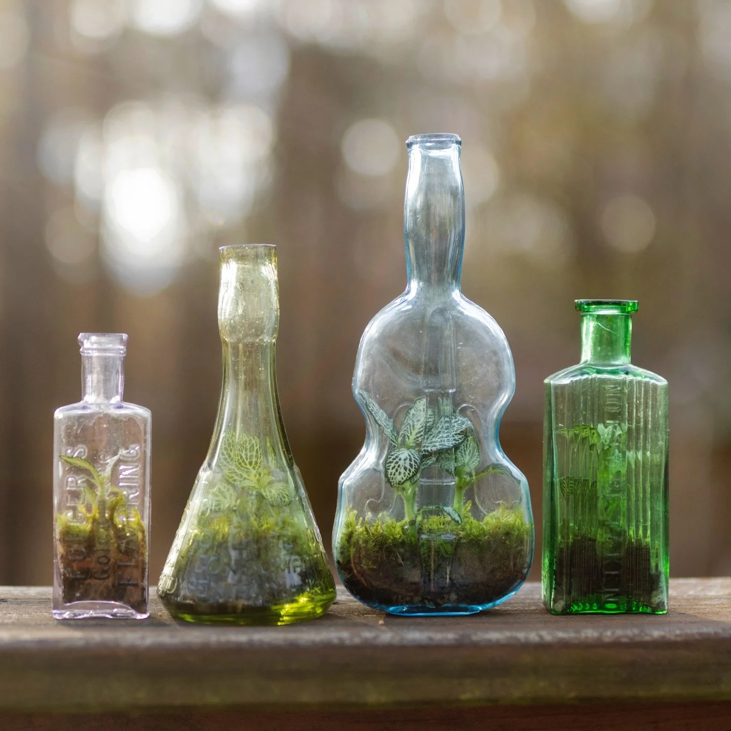 👀 🍾 fancy bottle time! 🫙 I&rsquo;ve had a lot of folks at markets asking about these lil&rsquo; guys lately so I thought I&rsquo;d share a little more about them! I&rsquo;d like to introduce to you a little purple Folger&rsquo;s flavoring extracts